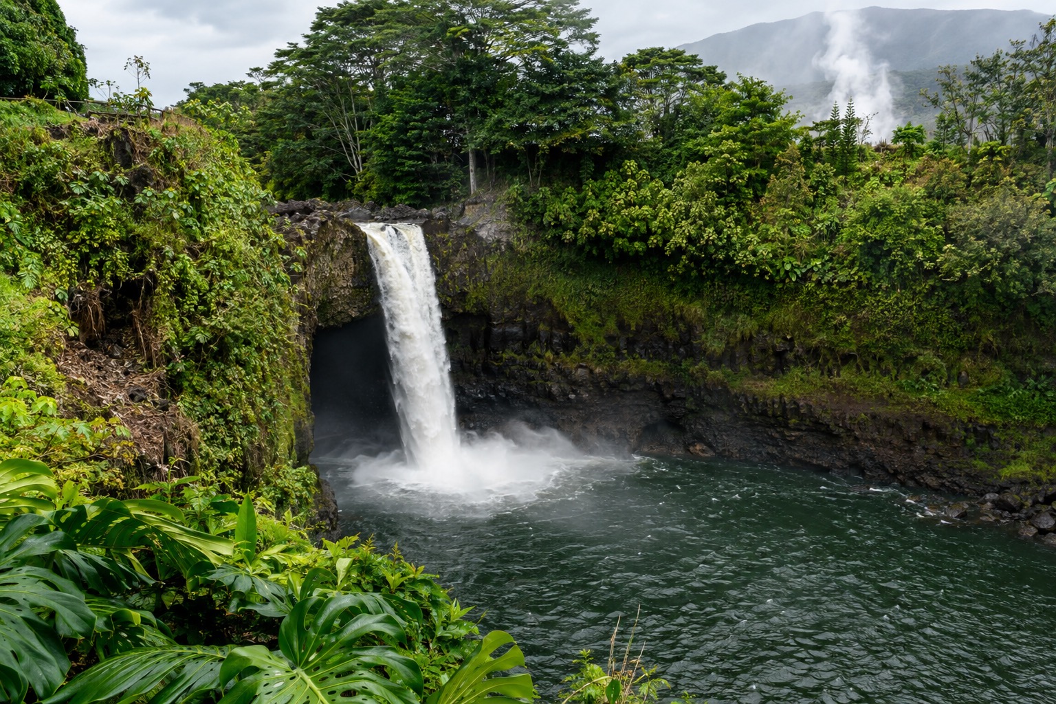 A waterfall dropping into a green pool surrounded by tropical rain forest near Hilo