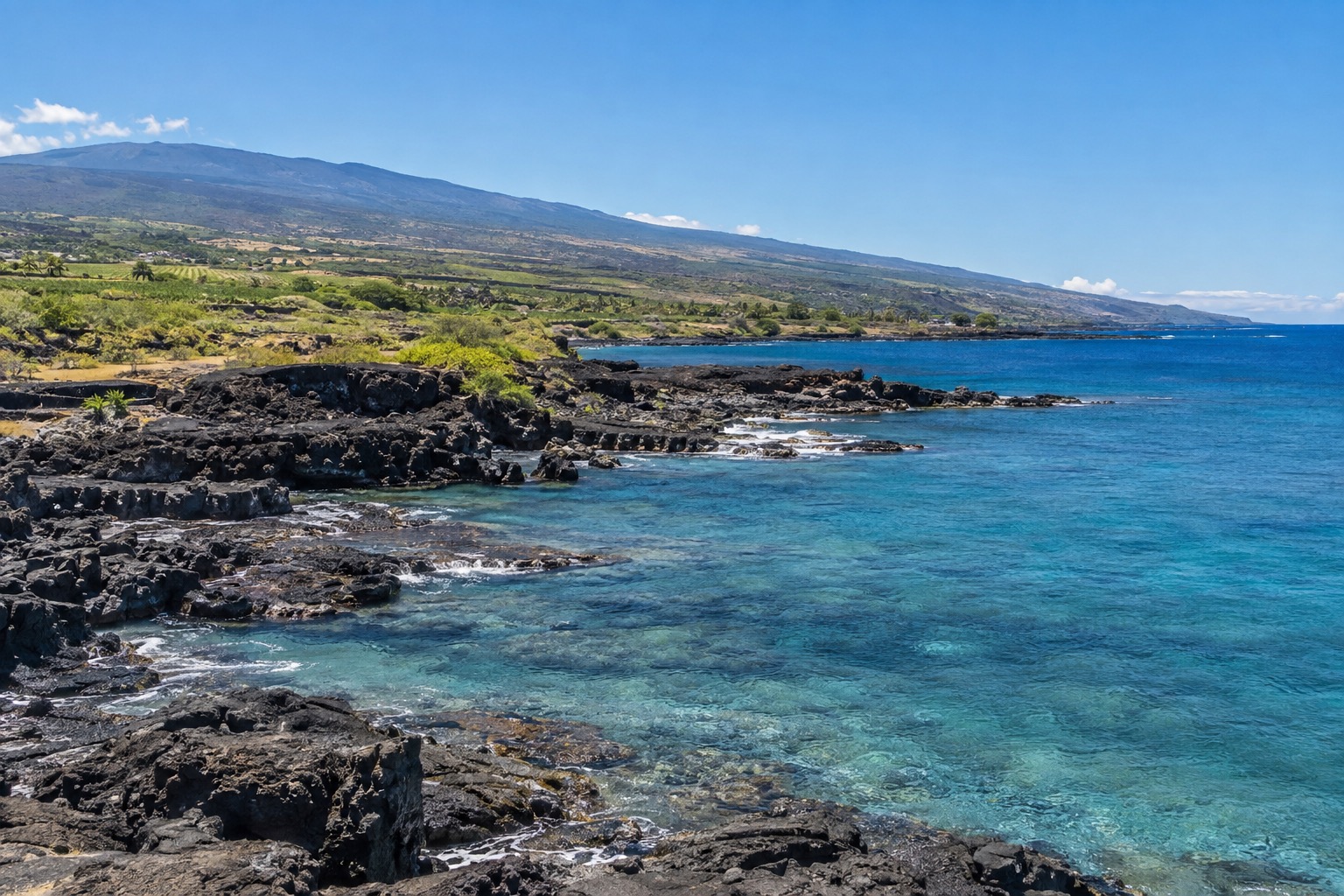 Black lava rock shoreline meeting calm blue water on the Kona coast under a clear sky