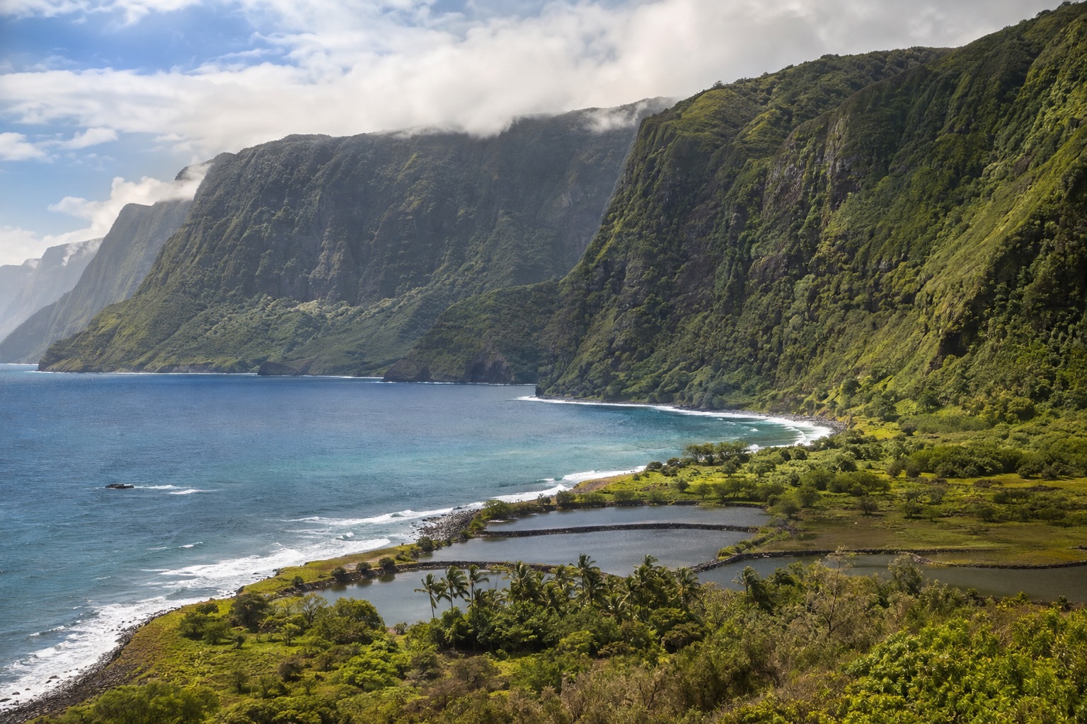 A quiet stretch of undeveloped coastline on Molokai with sea cliffs meeting turquoise water