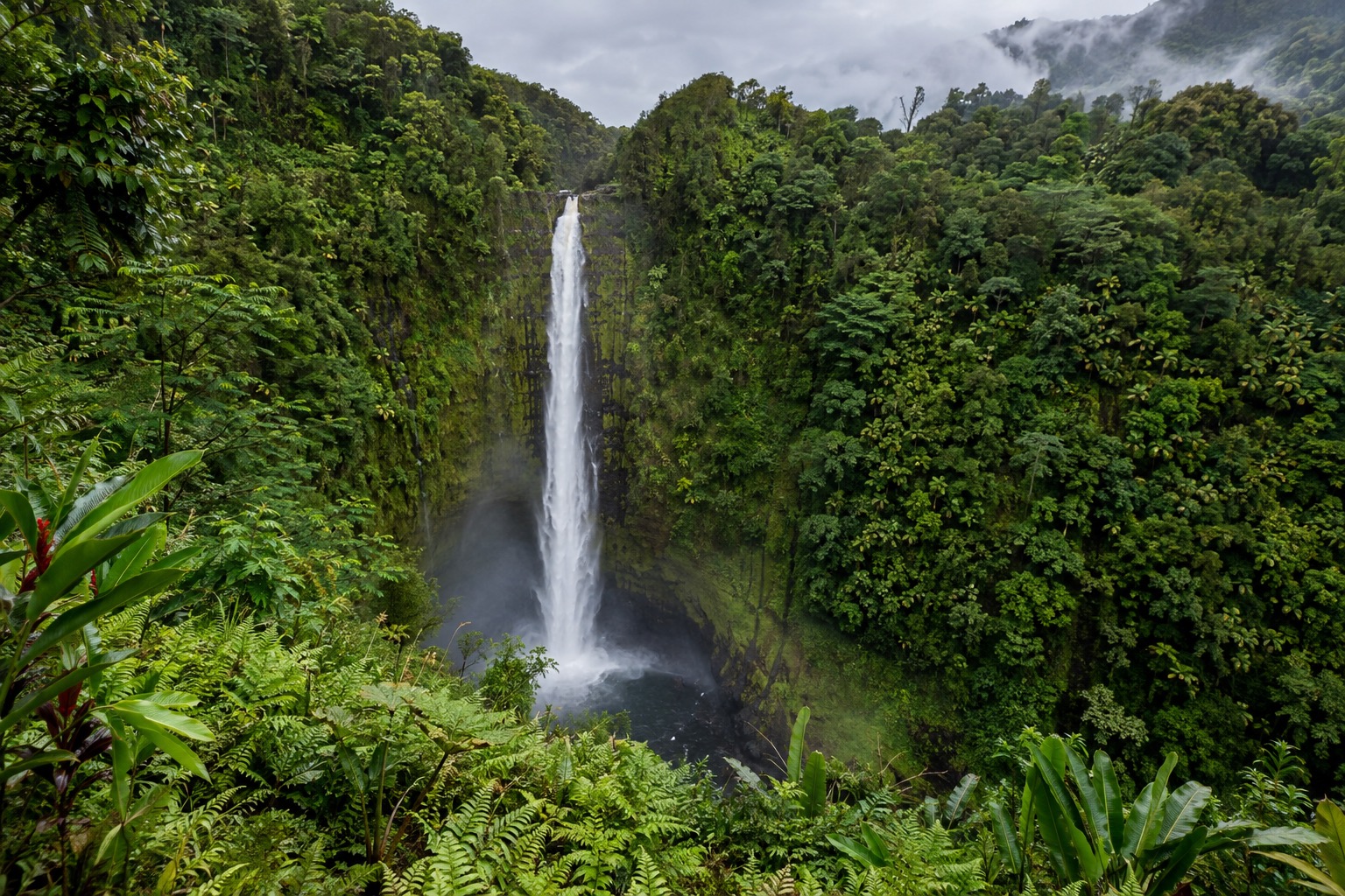 A tall, narrow waterfall dropping through a dense rainforest gorge on Hawaii Island