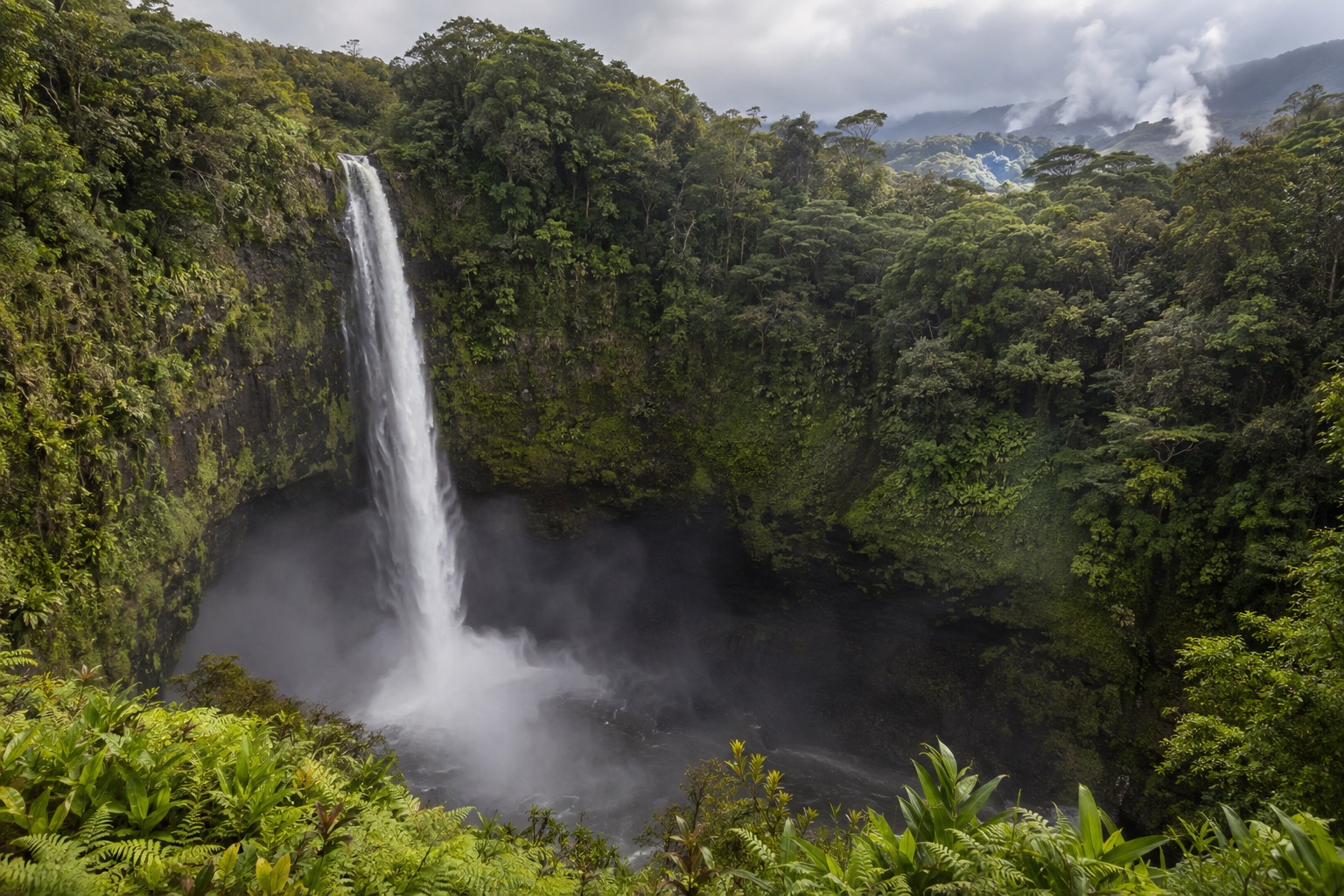 Steam and mist rising from Akaka Falls plunging into a forested gorge on Hawaii Island