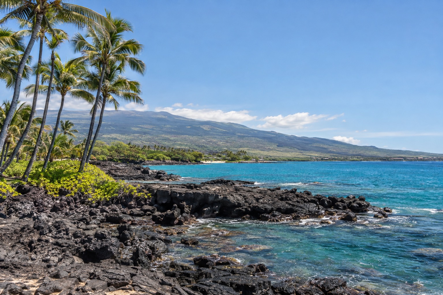 Lava rock shoreline with palm trees under a clear sky on Hawaii's Kona coast