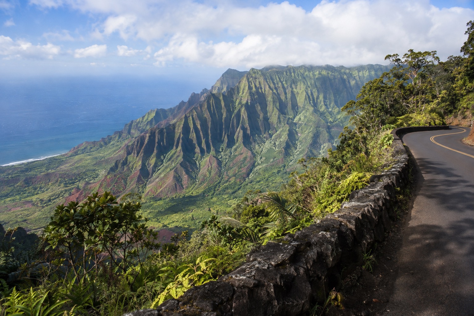 Waimea Canyon Drive winding along a forested ridge above the gorge