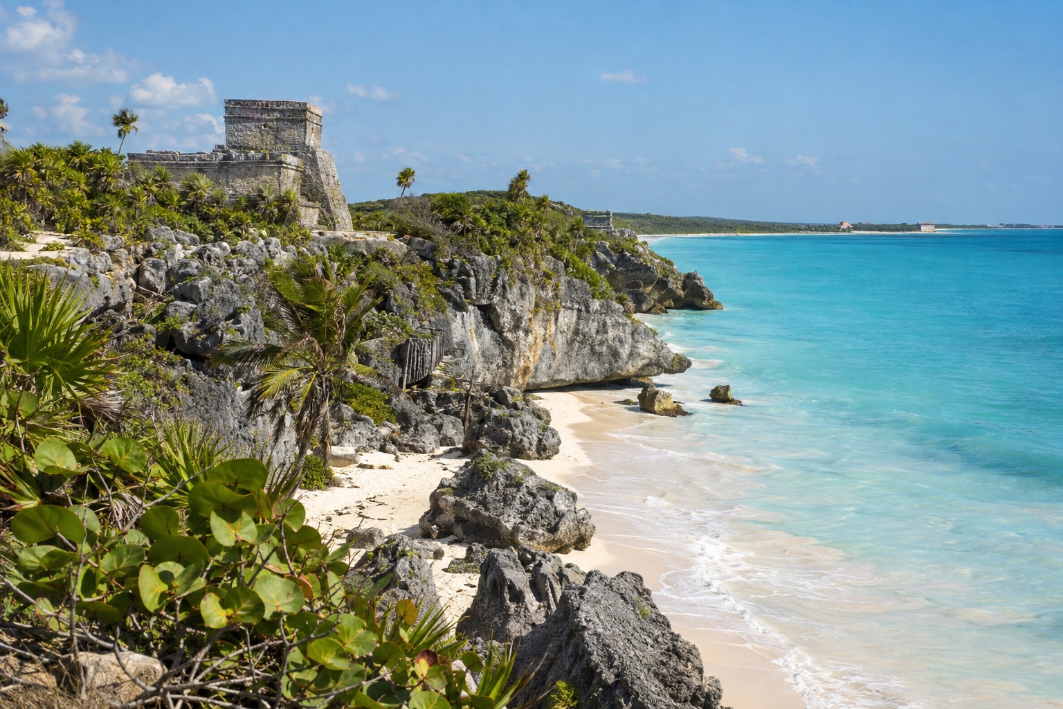 Stone temple ruins among low trees at a Maya archaeological site