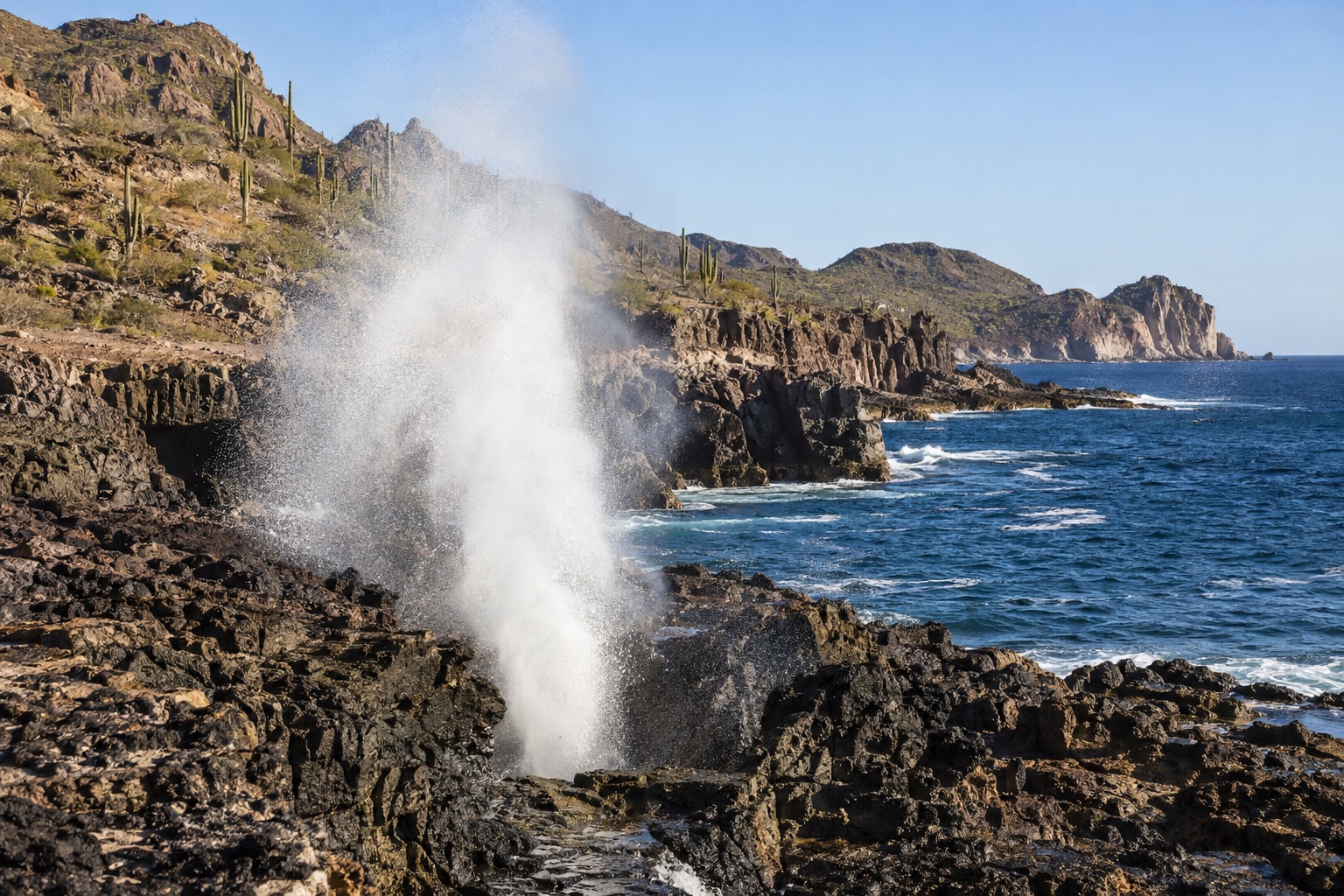 A plume of seawater rising from a coastal blowhole against a rocky headland