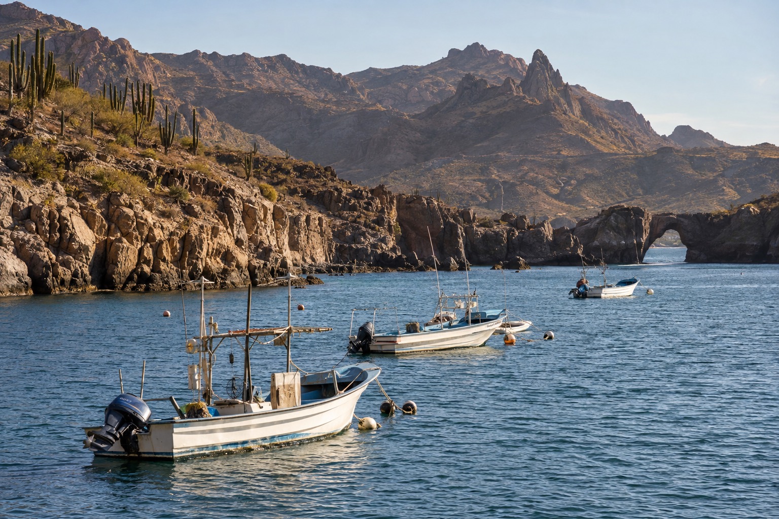 Fishing boats moored in a calm bay under soft late-autumn light on the Baja California coast