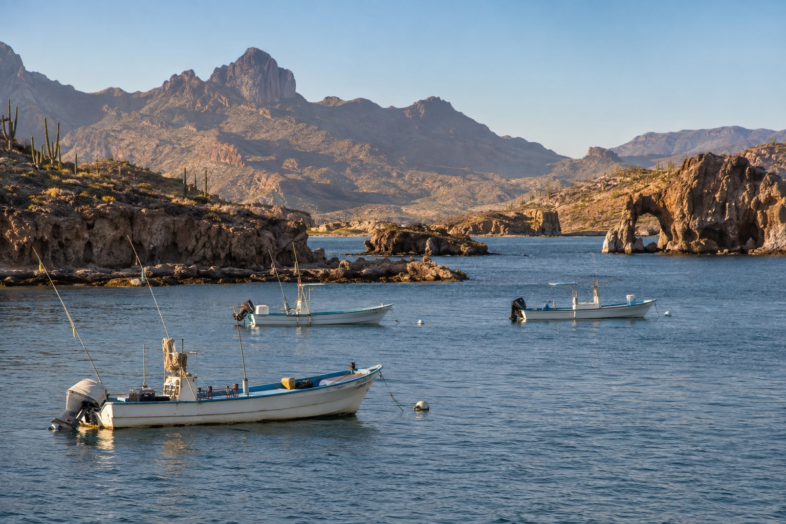 Fishing boats moored in a calm bay on the Pacific coast of Baja California on a clear morning