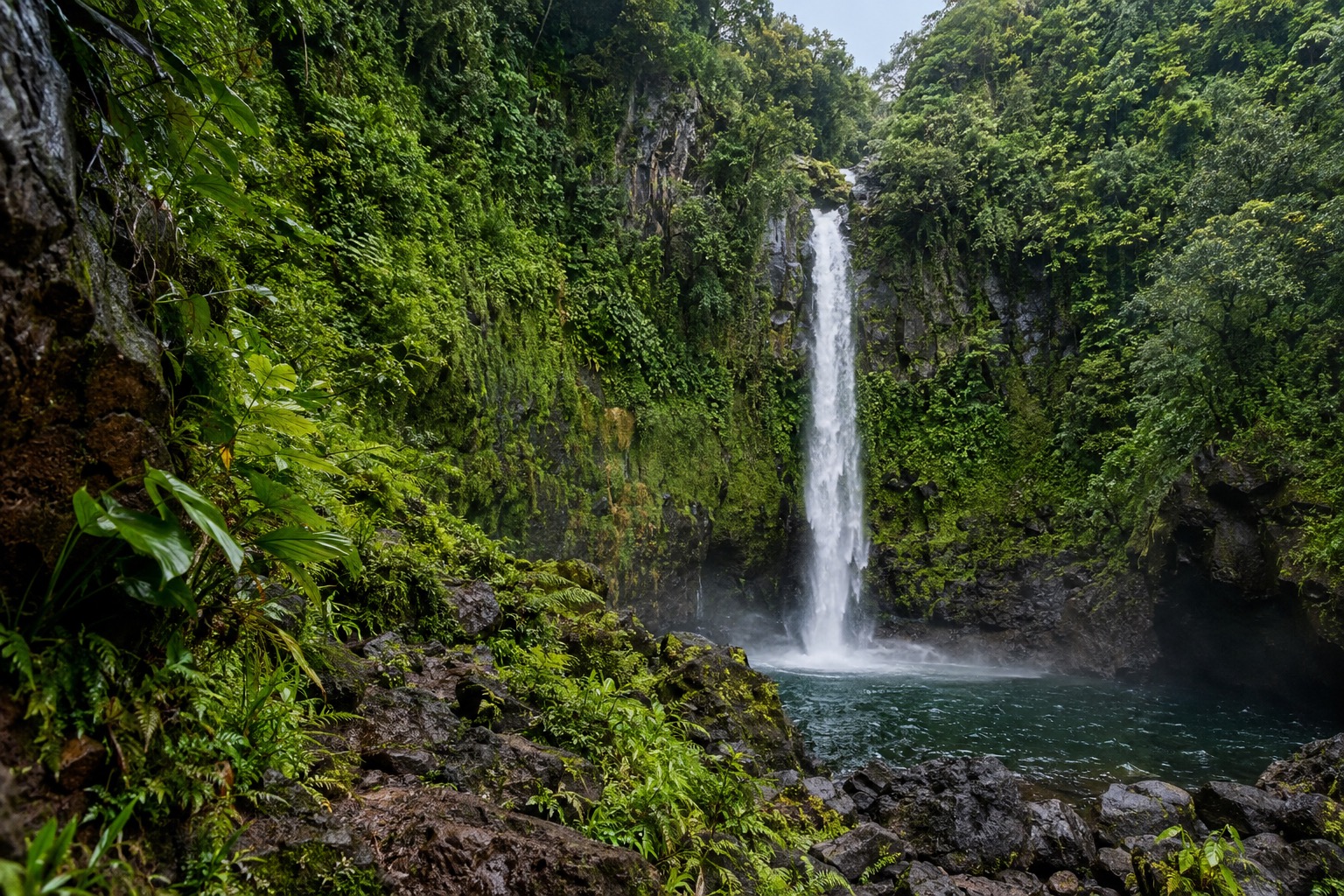 A waterfall dropping through green cliffs at the end of a forest trail