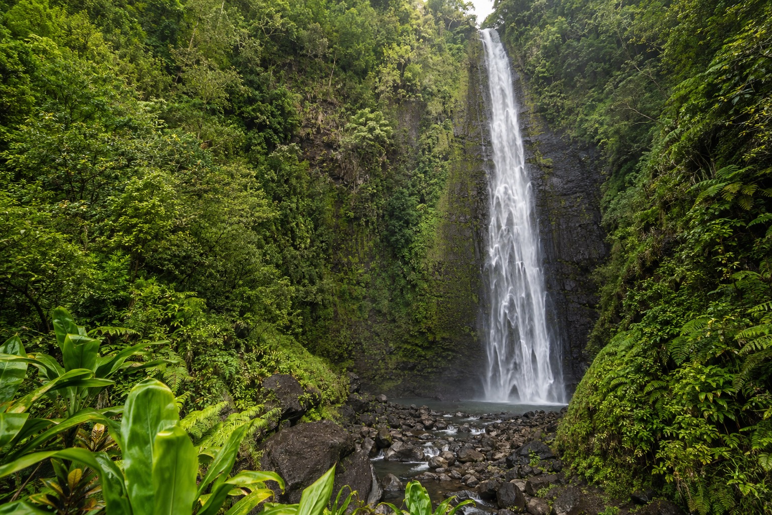 Waimoku Falls dropping into a fern-lined gorge near Kipahulu, Maui