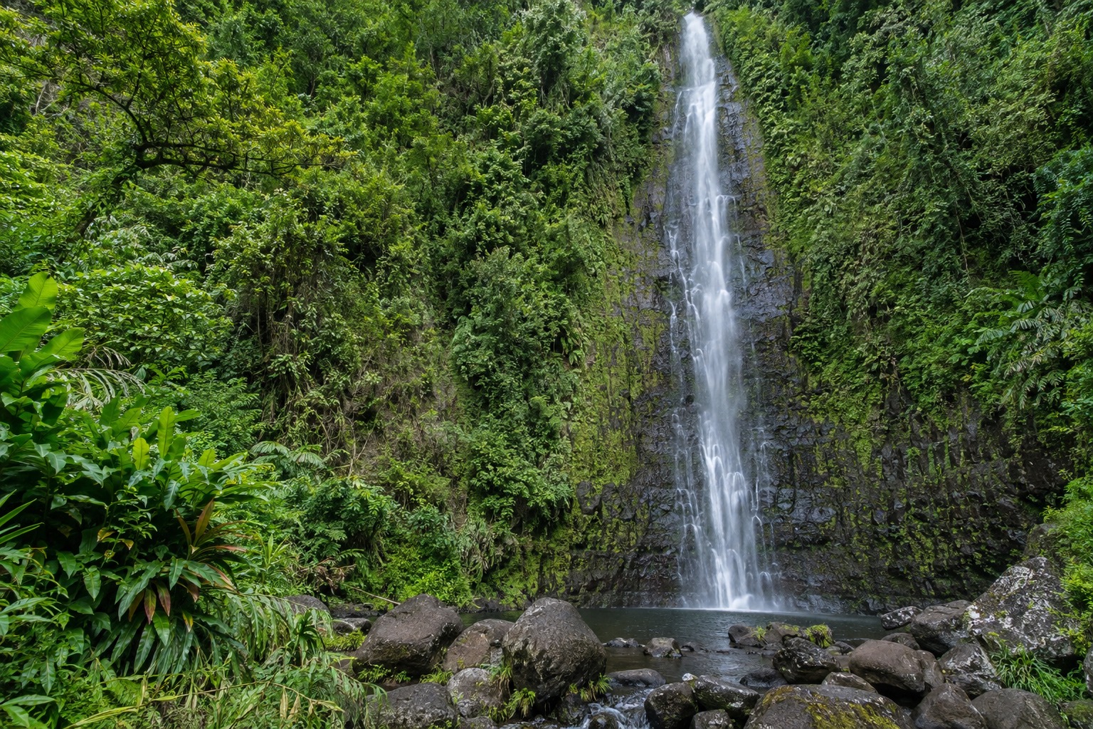 Waimoku Falls dropping over a rock face at the end of a trail in Haleakala National Park's Kipahulu district