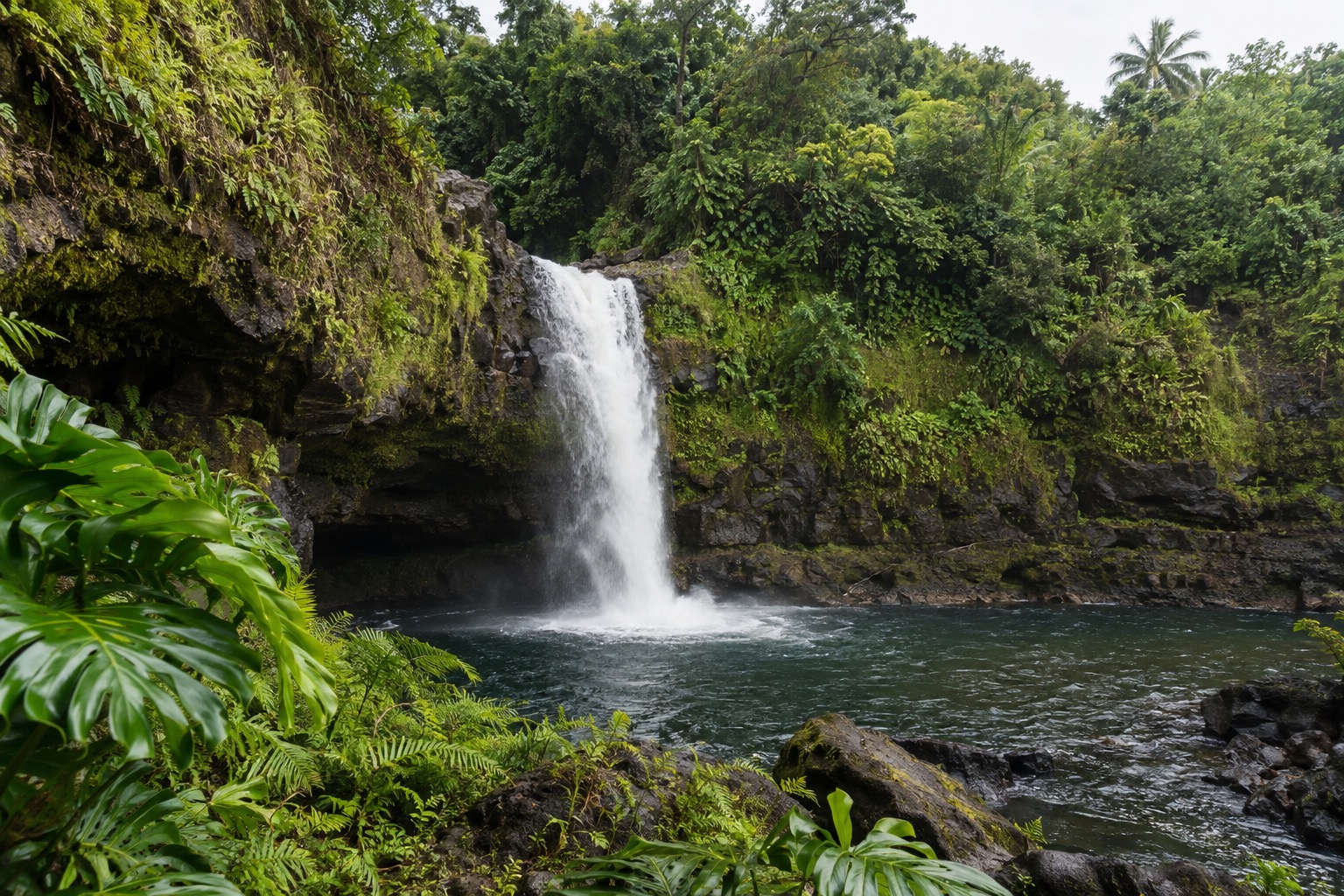 A waterfall dropping into a pool along a forested trail