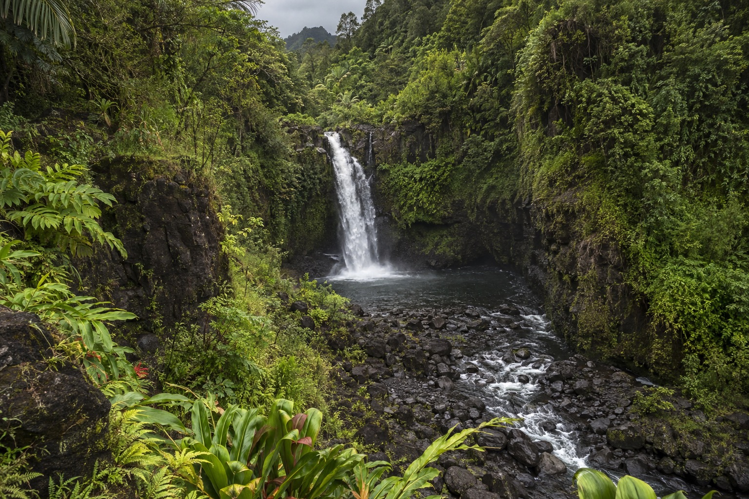Waterfall dropping through green cliffs at the end of a jungle trail near Hana