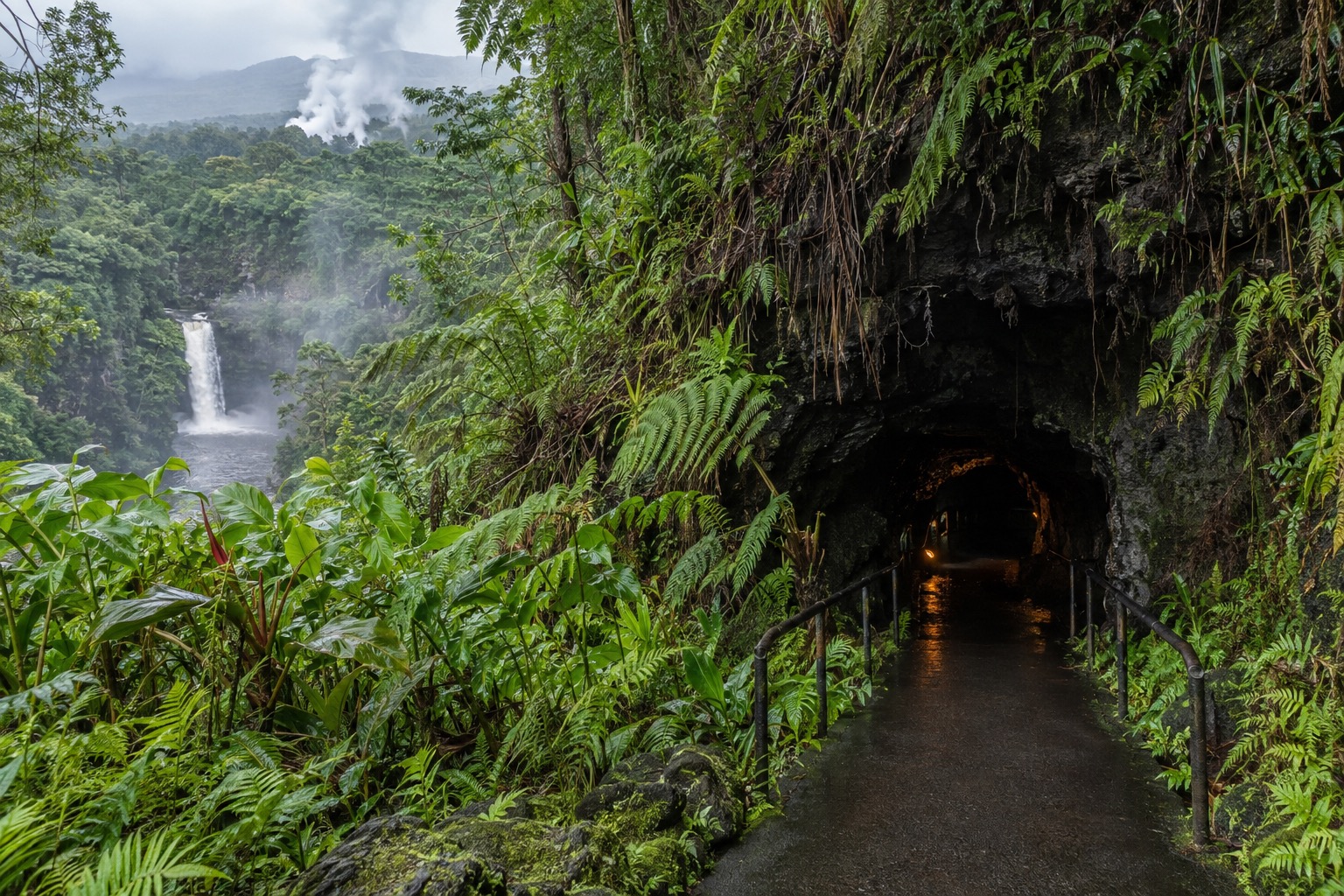 A paved path leading into the dark entrance of a lava tube surrounded by ferns