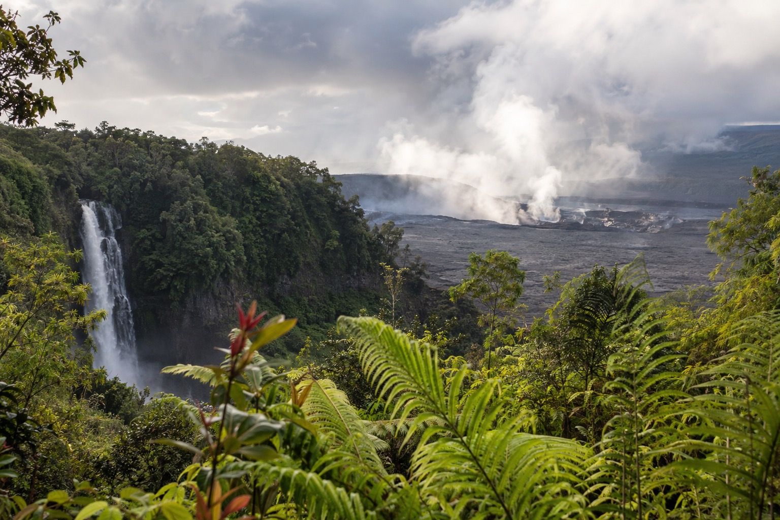Steam rising from a caldera vent at Hawaii Volcanoes National Park with green ferns in the foreground
