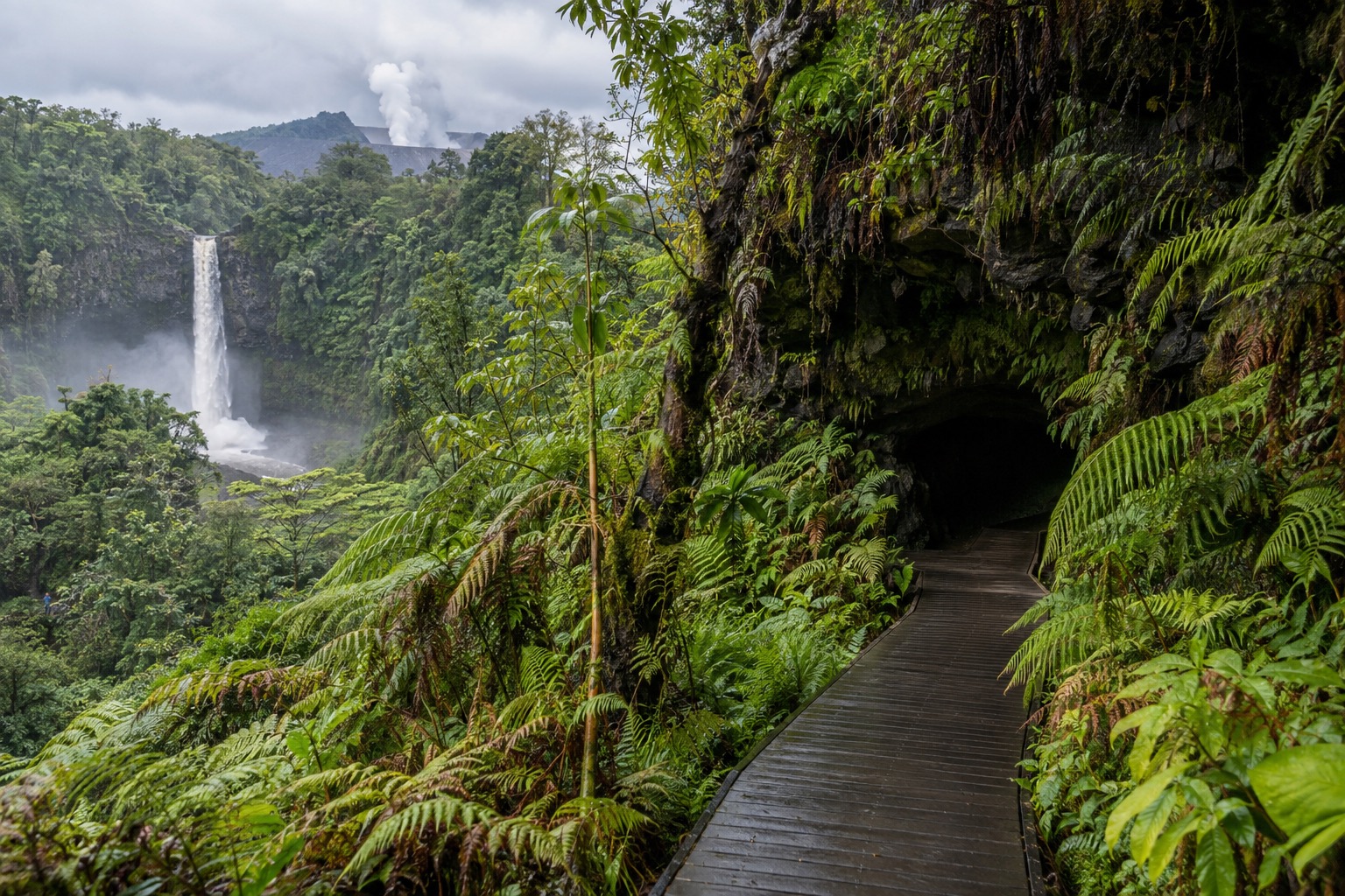 A boardwalk trail leading into ferns near the entrance to a lava tube in Hawaii Volcanoes National Park