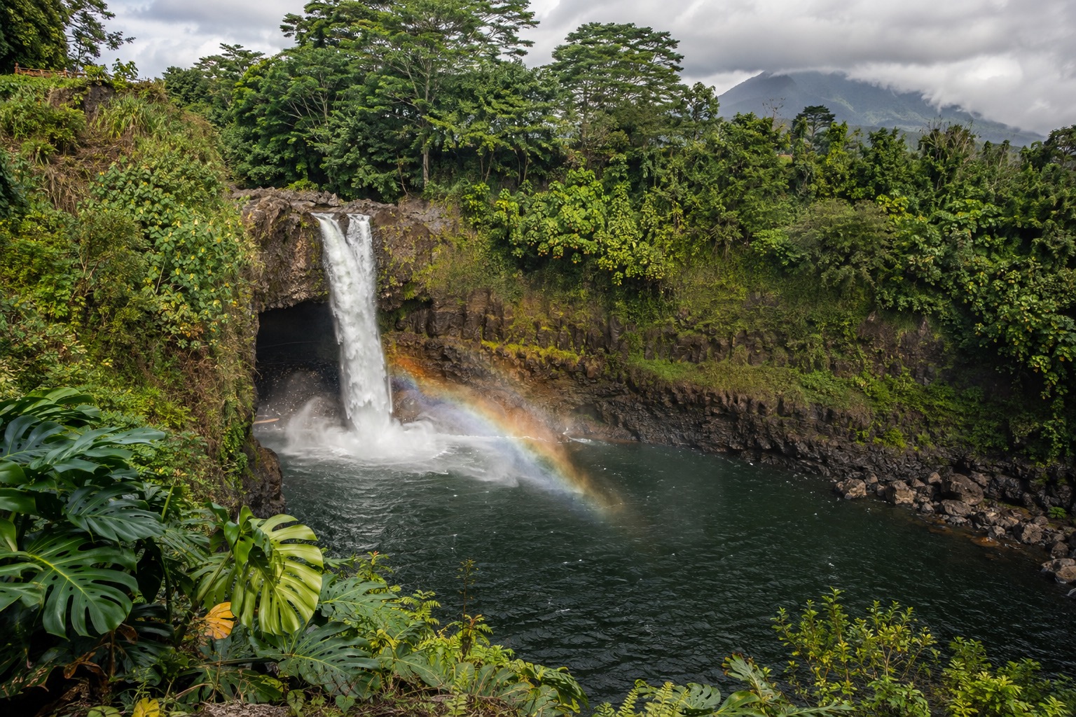 Rainbow Falls dropping into a pool surrounded by green forest in Hilo