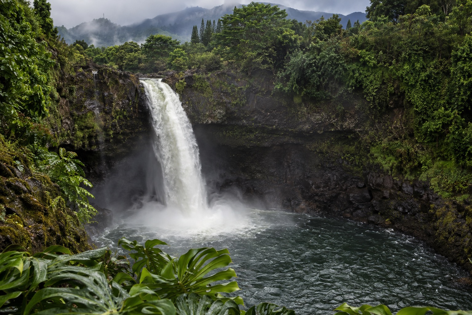 Rainbow Falls dropping into a plunge pool inside Wailuku River State Park, Hilo