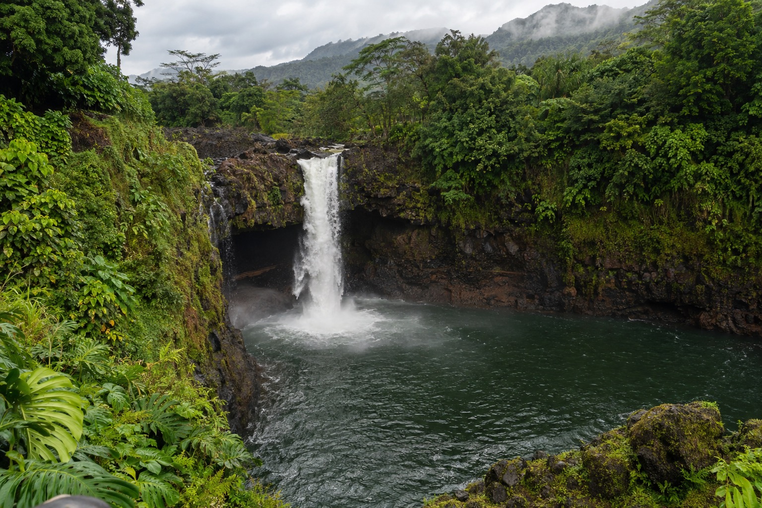 Waterfall dropping into a green pool surrounded by rainforest near Hilo