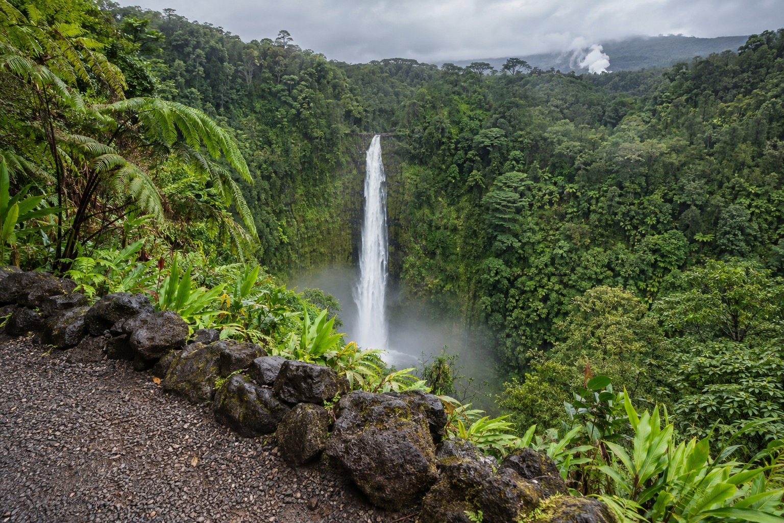 A gravel overlook facing Akaka Falls dropping through a fern-lined gorge