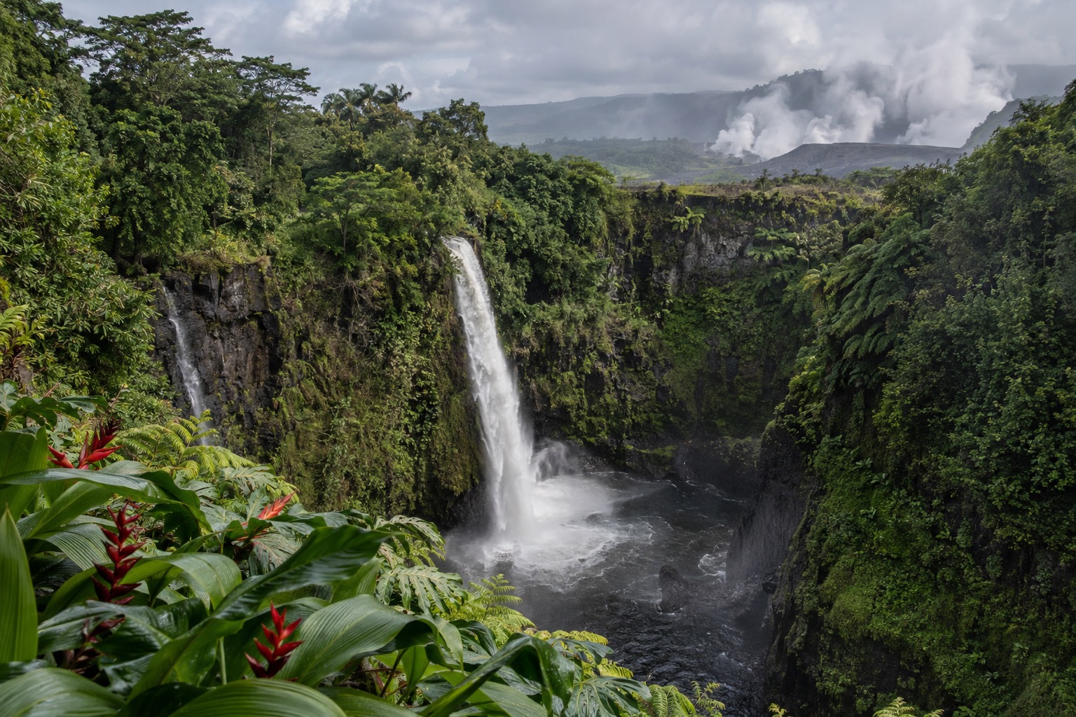 A tall waterfall dropping through a steep, fern-lined gorge on the Big Island
