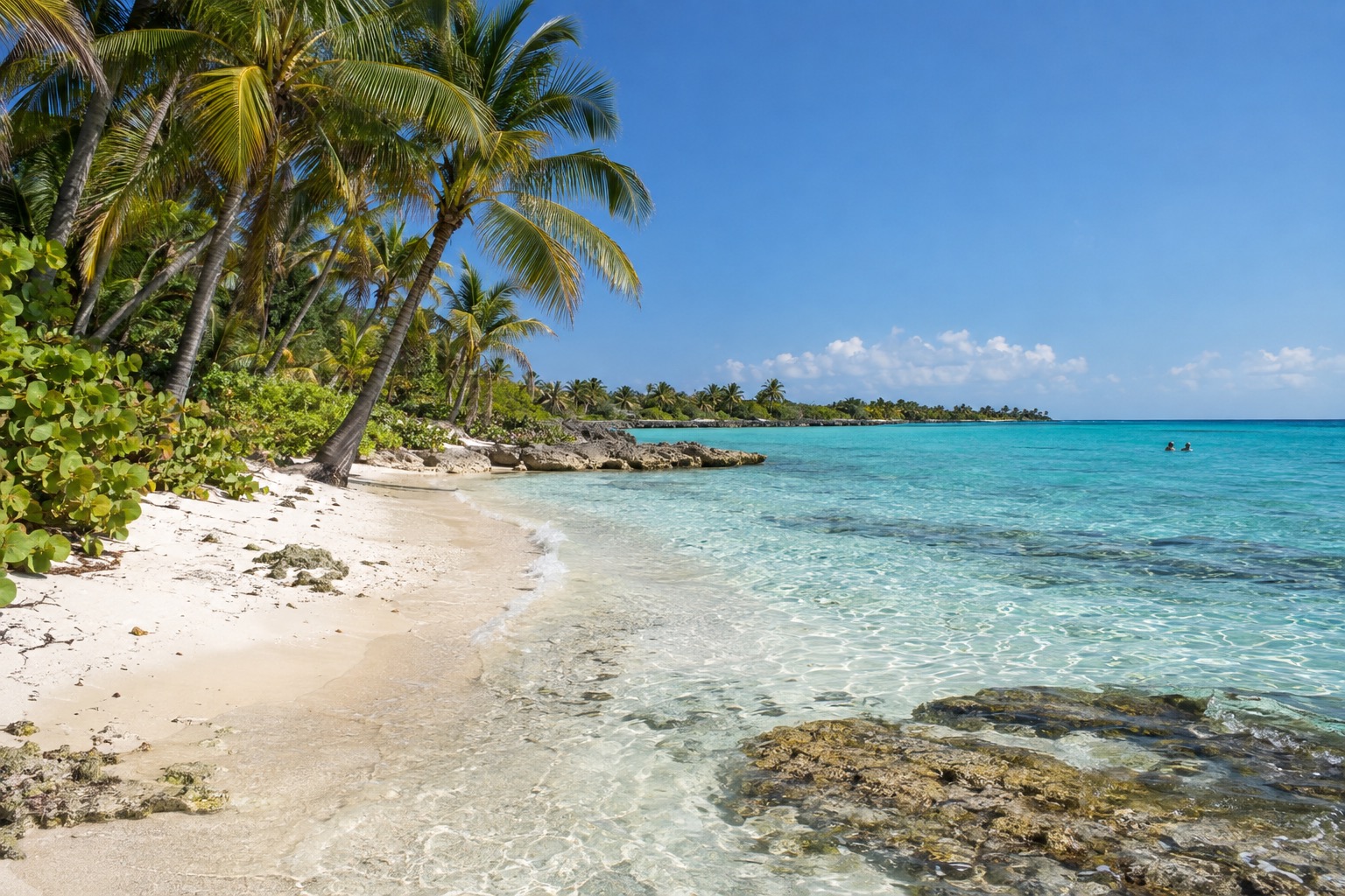A palm-lined beach with shallow turquoise water on a tropical island