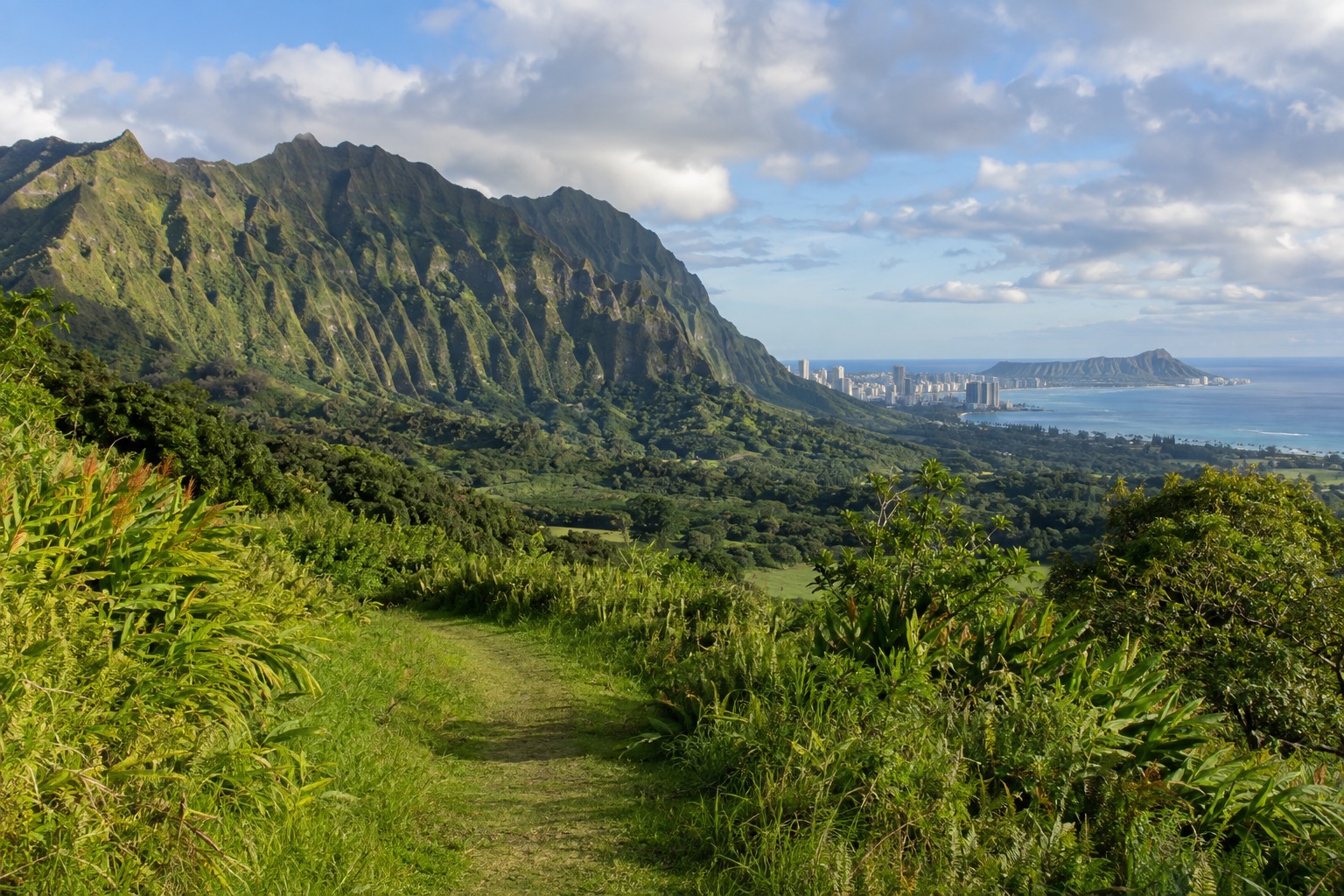 A grassy trail through Hoomaluhia Botanical Garden with the Koolau Range rising behind it