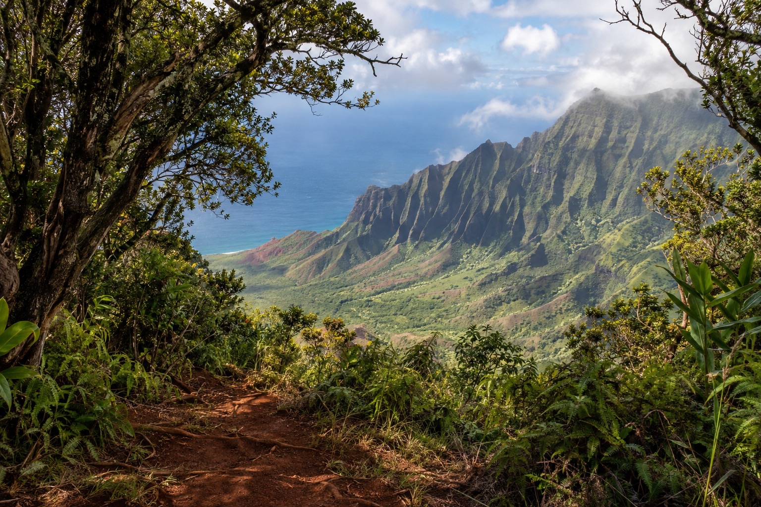 A narrow forested lookout over Kalalau Valley's green cliffs from Kokee State Park