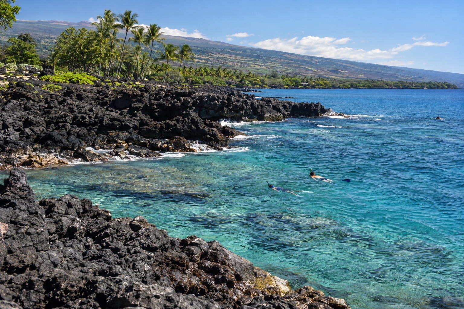 Snorkelers near a rocky lava coastline with palm trees under a clear February sky in Kailua-Kona