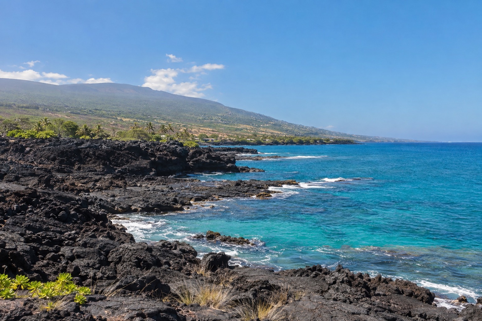 A black lava coastline near Kailua-Kona under a clear June sky