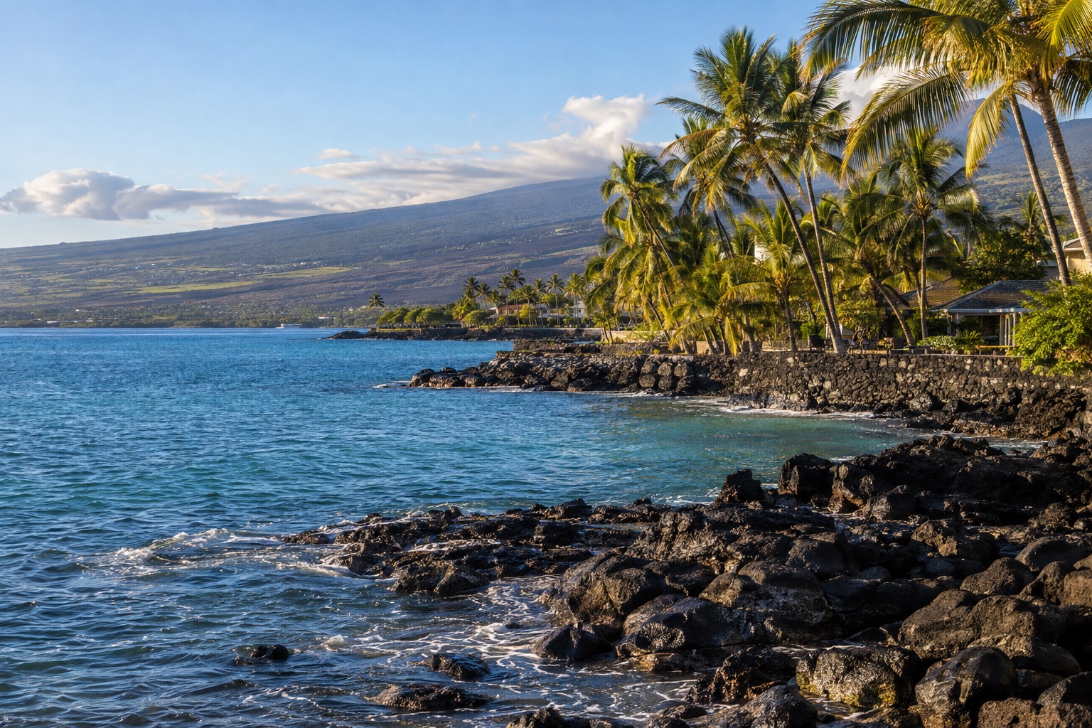 Palm trees along the Kailua-Kona seawall with calm blue water in late afternoon light