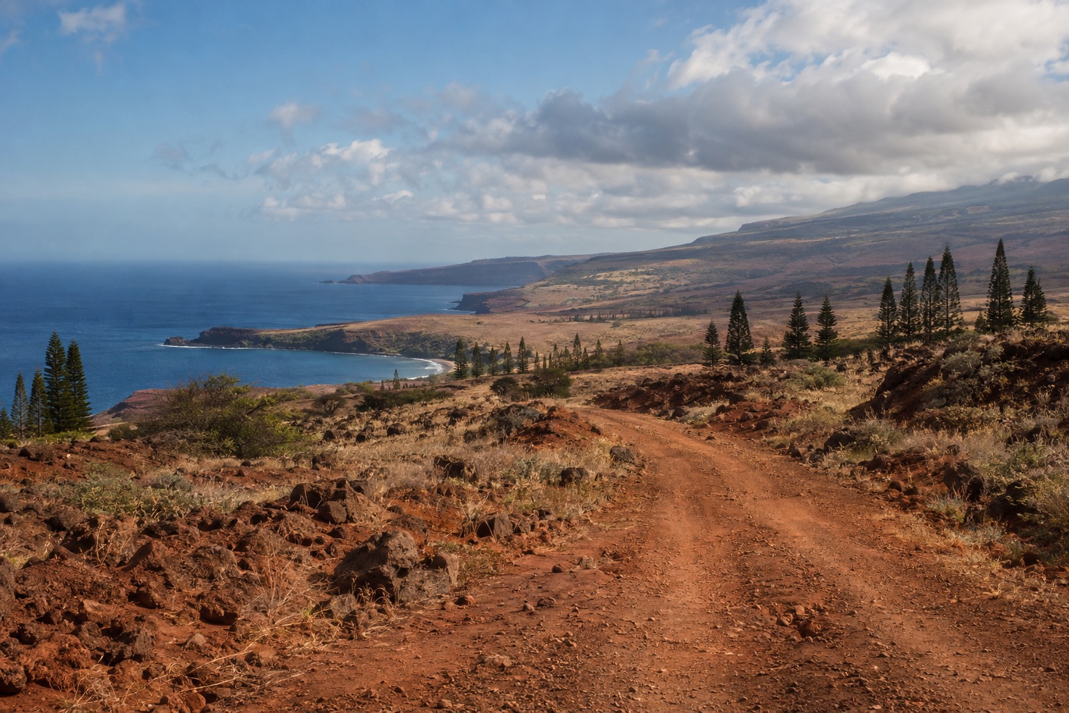 A rocky central plateau road on Lanai leading toward distant ironwood trees under a partly cloudy January sky