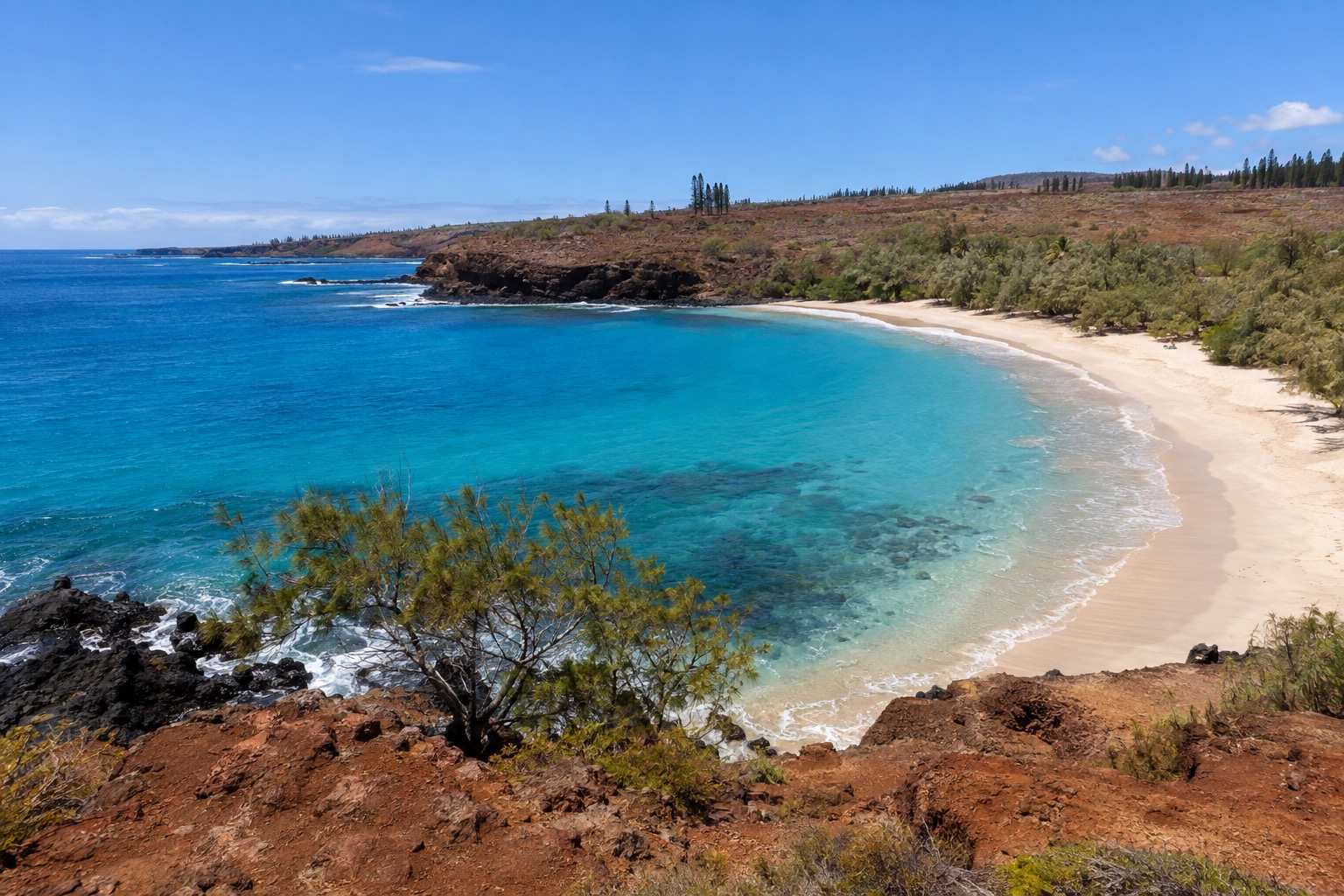 Turquoise water and a crescent white-sand beach backed by ironwood trees on Lanai's south shore