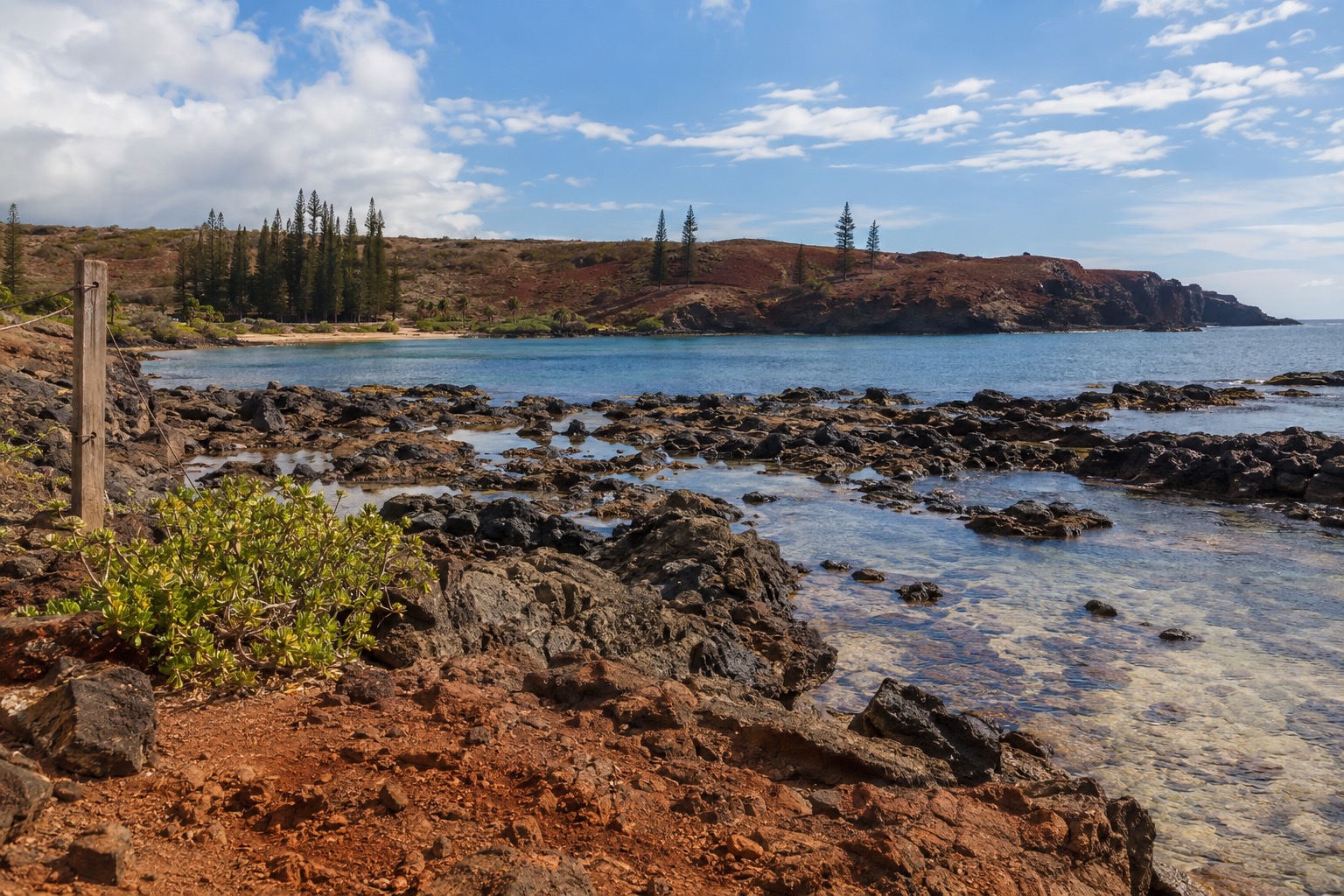 A rocky tide pool coastline with a small conservation sign post near a bay