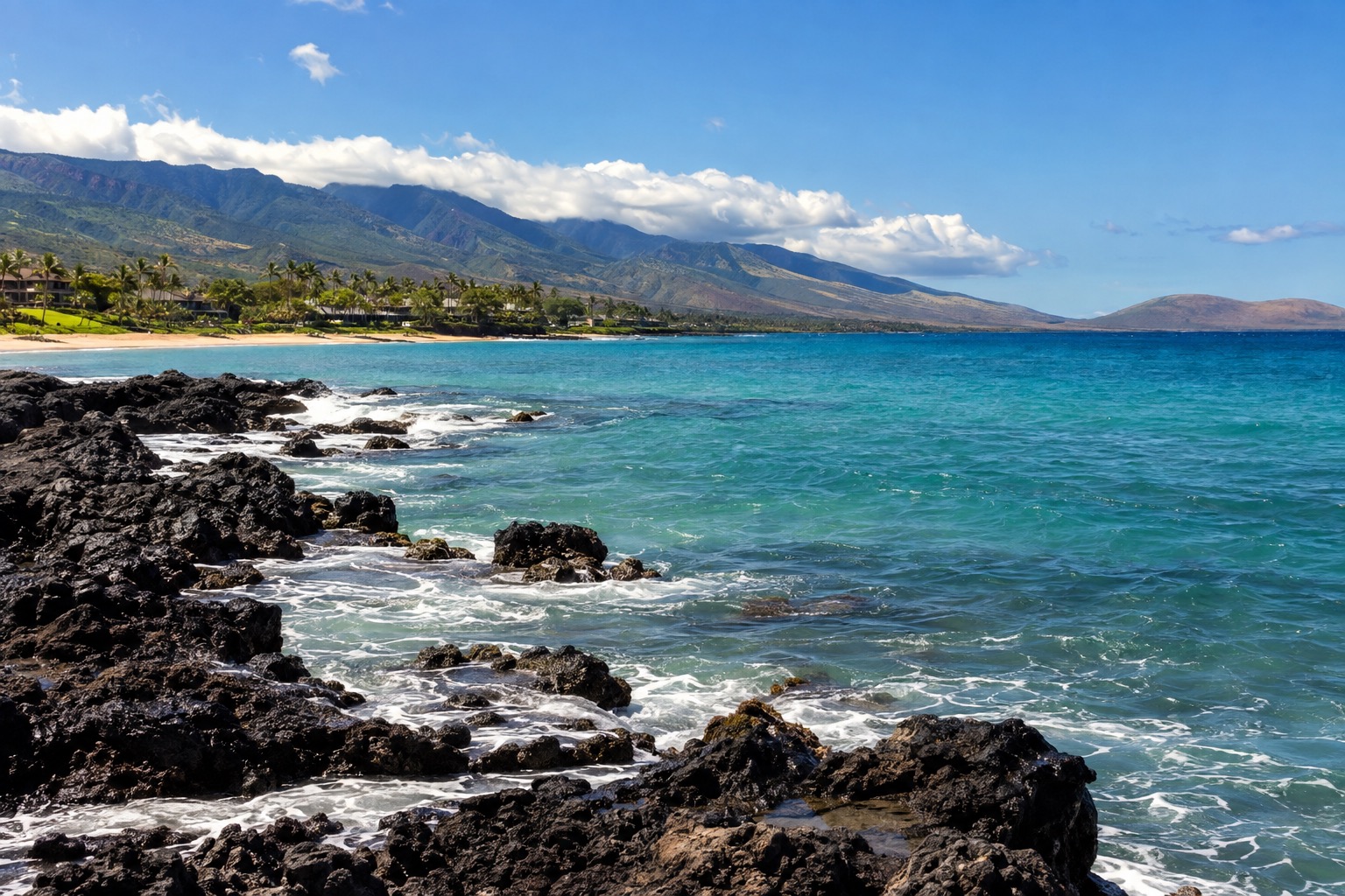 A black lava coastline meeting turquoise water near a Maui state park