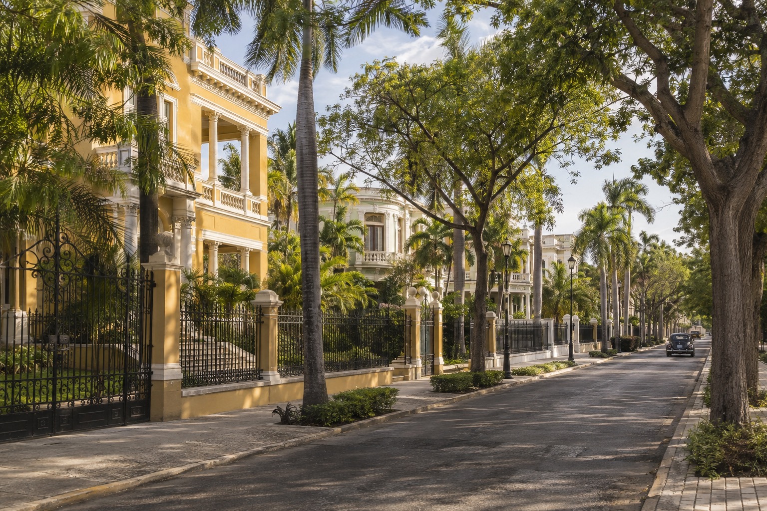Wide tree-lined avenue with early twentieth-century mansions in Merida, Yucatan