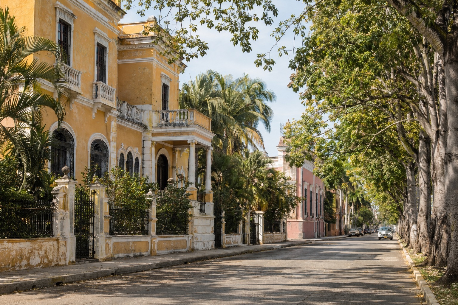 Early-20th-century mansions with tall windows along a wide tree-lined avenue