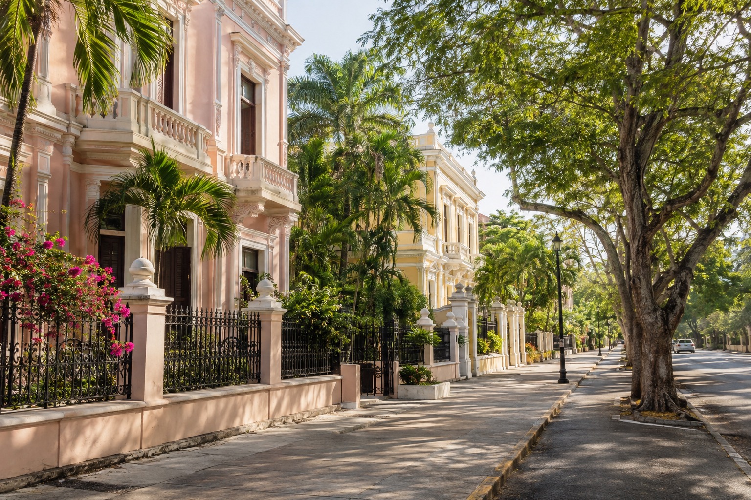 Pastel early-20th-century mansions with tall windows along a tree-lined avenue in Merida in morning light