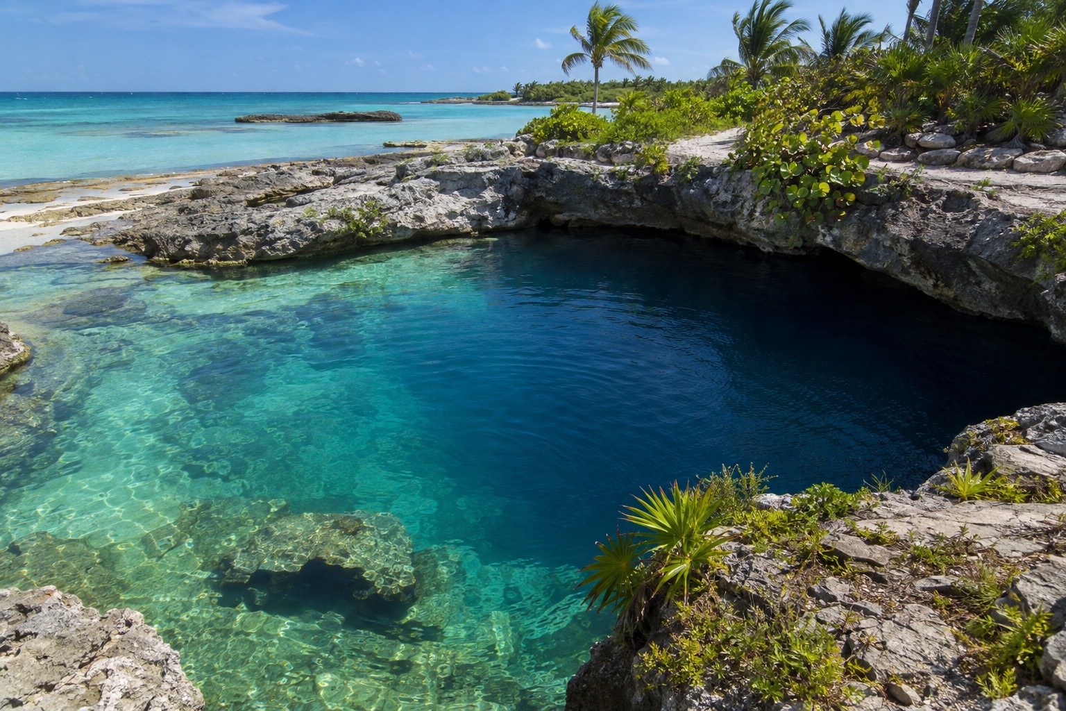 A cenote opening into a lagoon, with the water turning sharply deeper blue