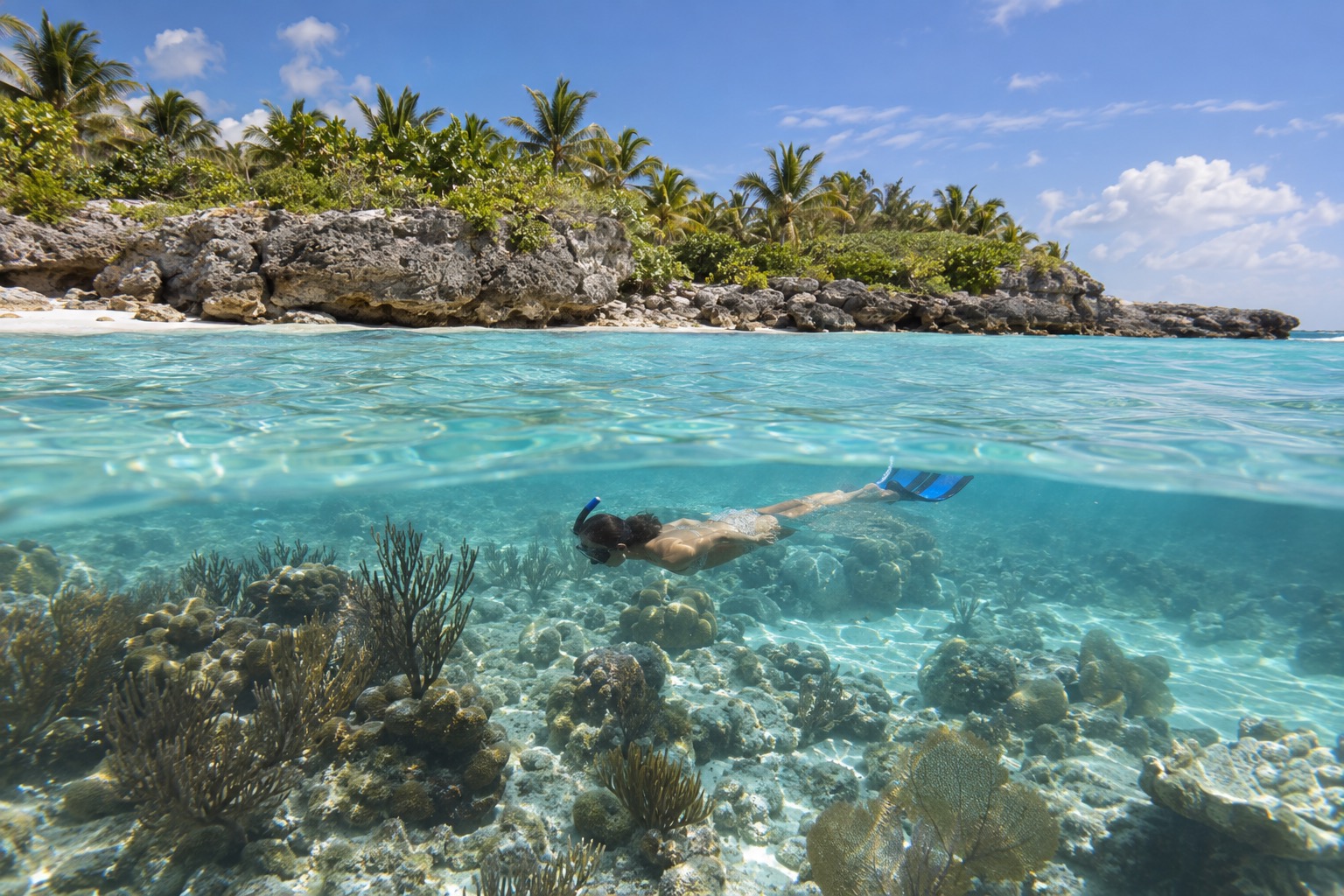 Snorkeler floating above a coral reef in clear shallow water off a Caribbean shore