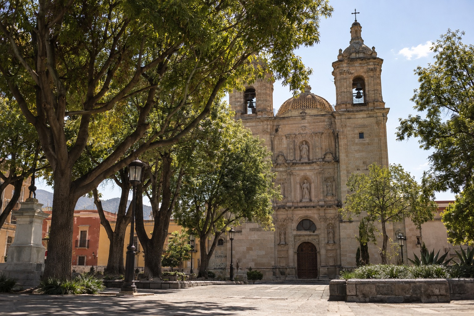 Laurel trees shading the main square of Oaxaca city with a cathedral facade behind them