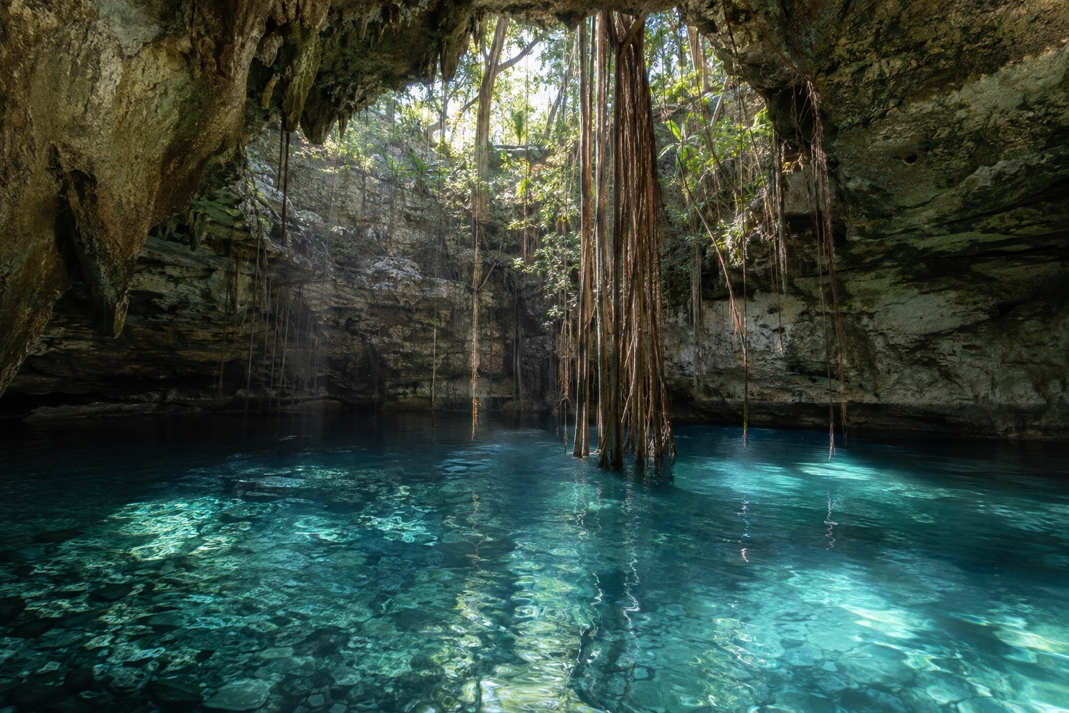 A cenote with clear water beneath an opening in the limestone and tree roots hanging down