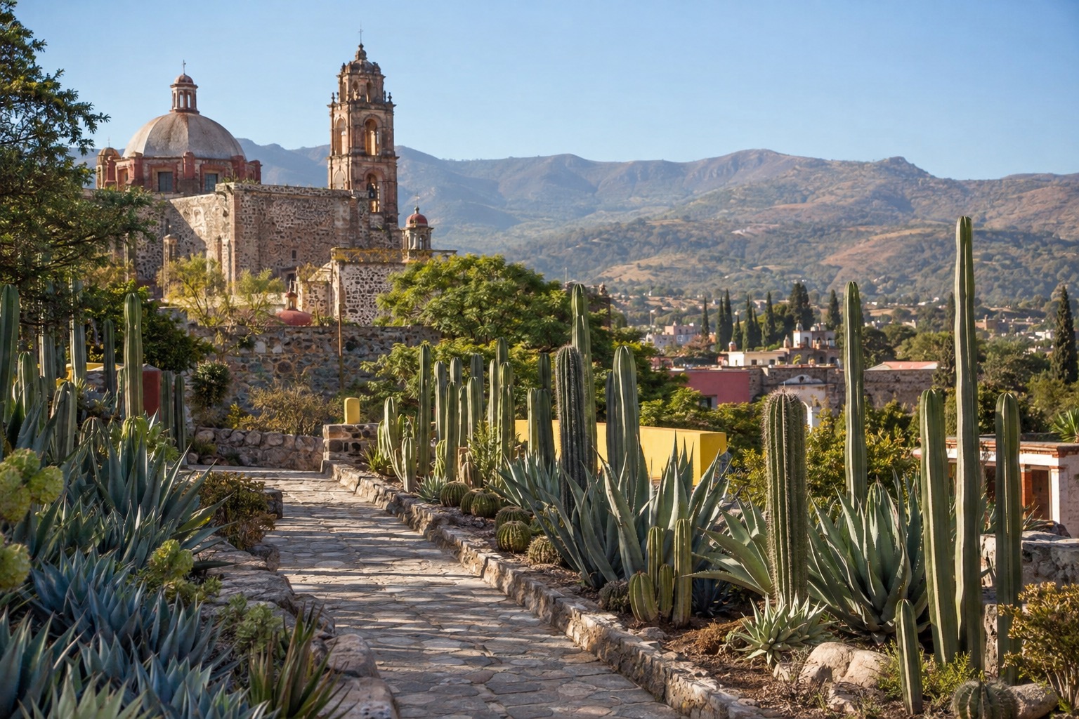 Rows of cactus and succulents along a stone path in a botanical garden