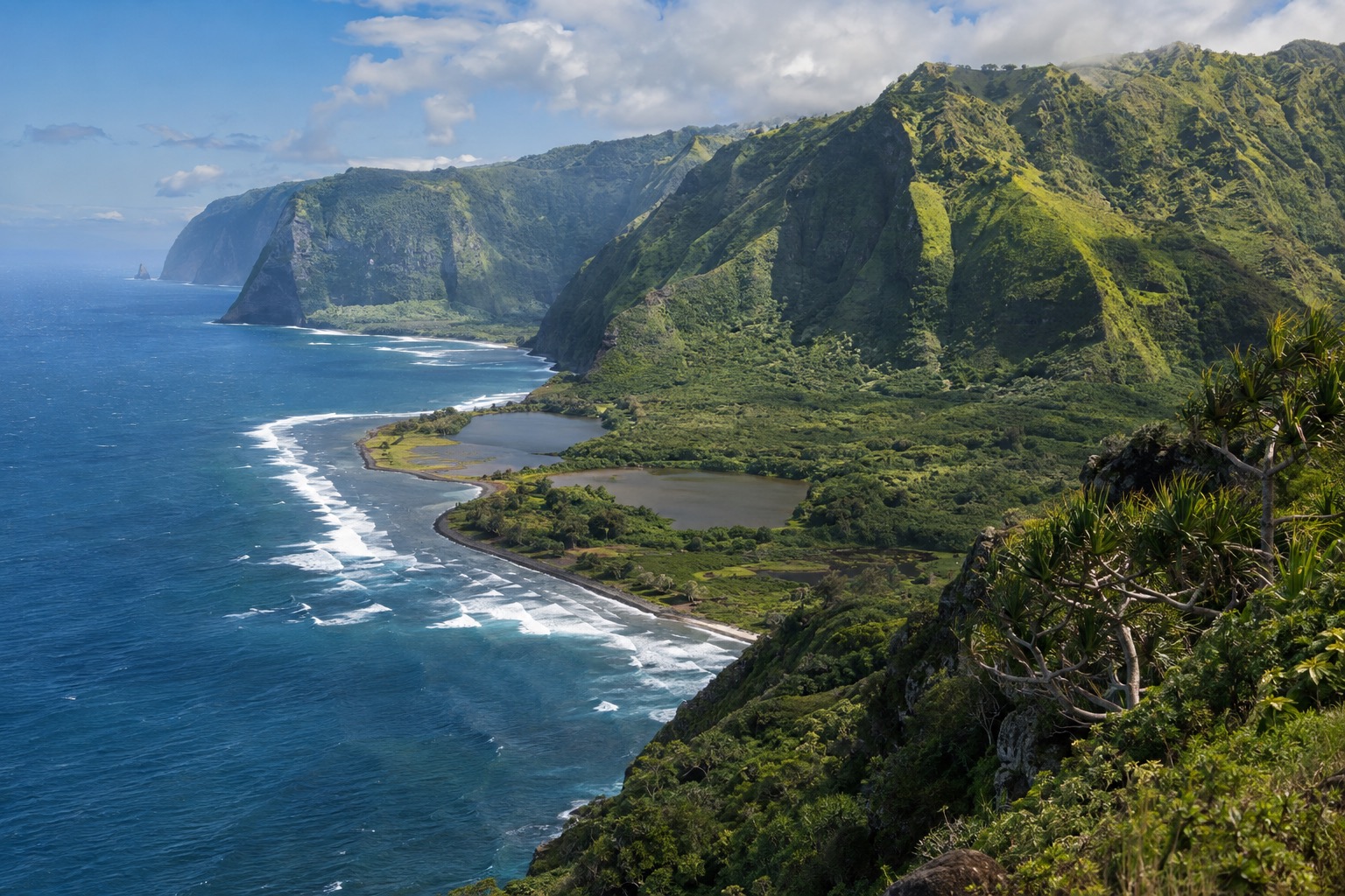 A green ridge falling into the Pacific along Molokai's remote east coast