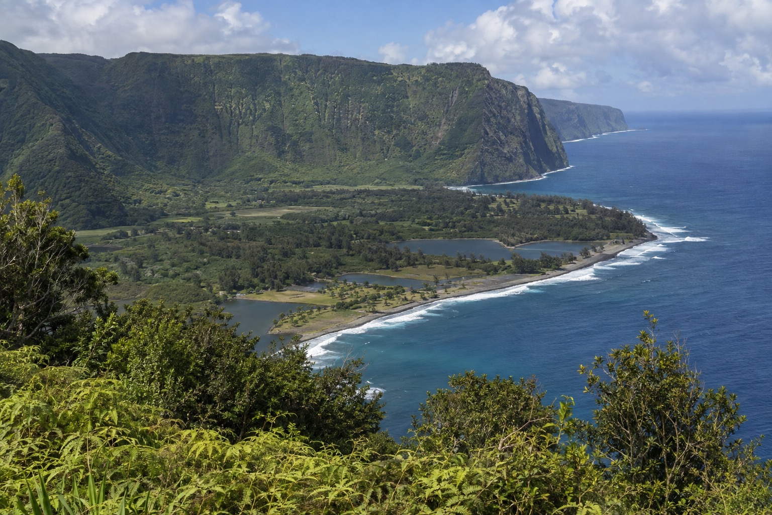 The Kalaupapa peninsula seen from a forested overlook on Molokai