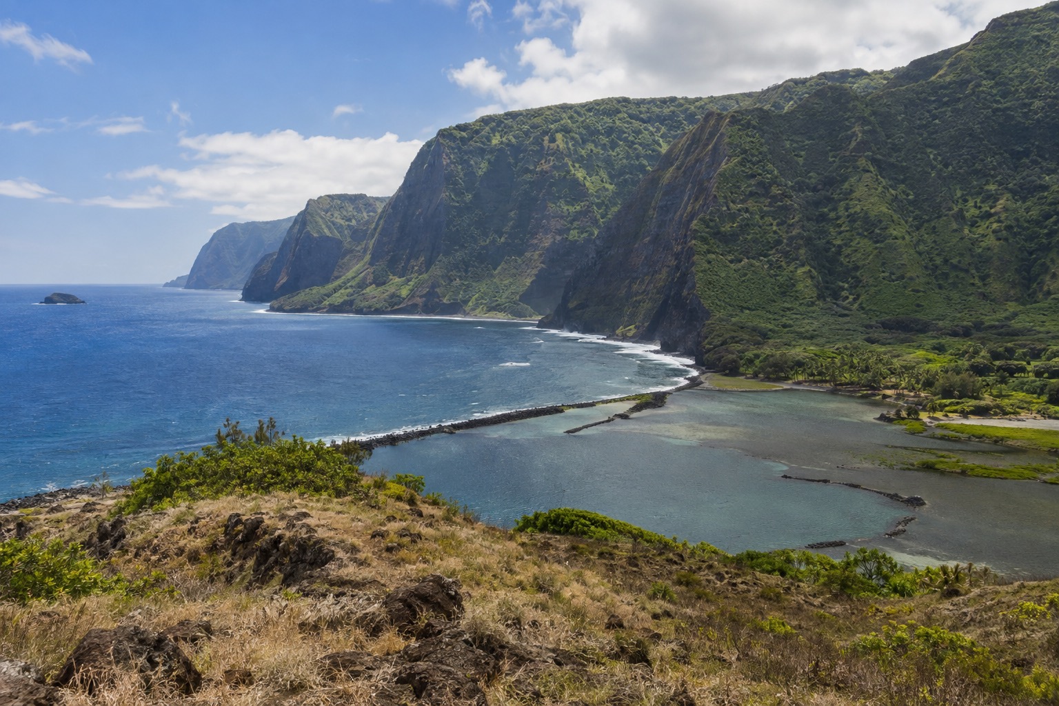 A dry, sunlit coastal bluff on Molokai's south shore in August