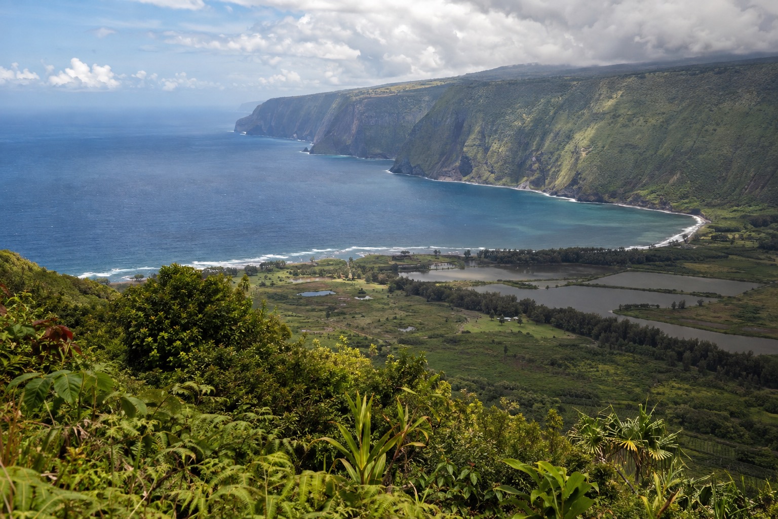 A coastal overlook above the Kalaupapa Peninsula on Molokai's north shore