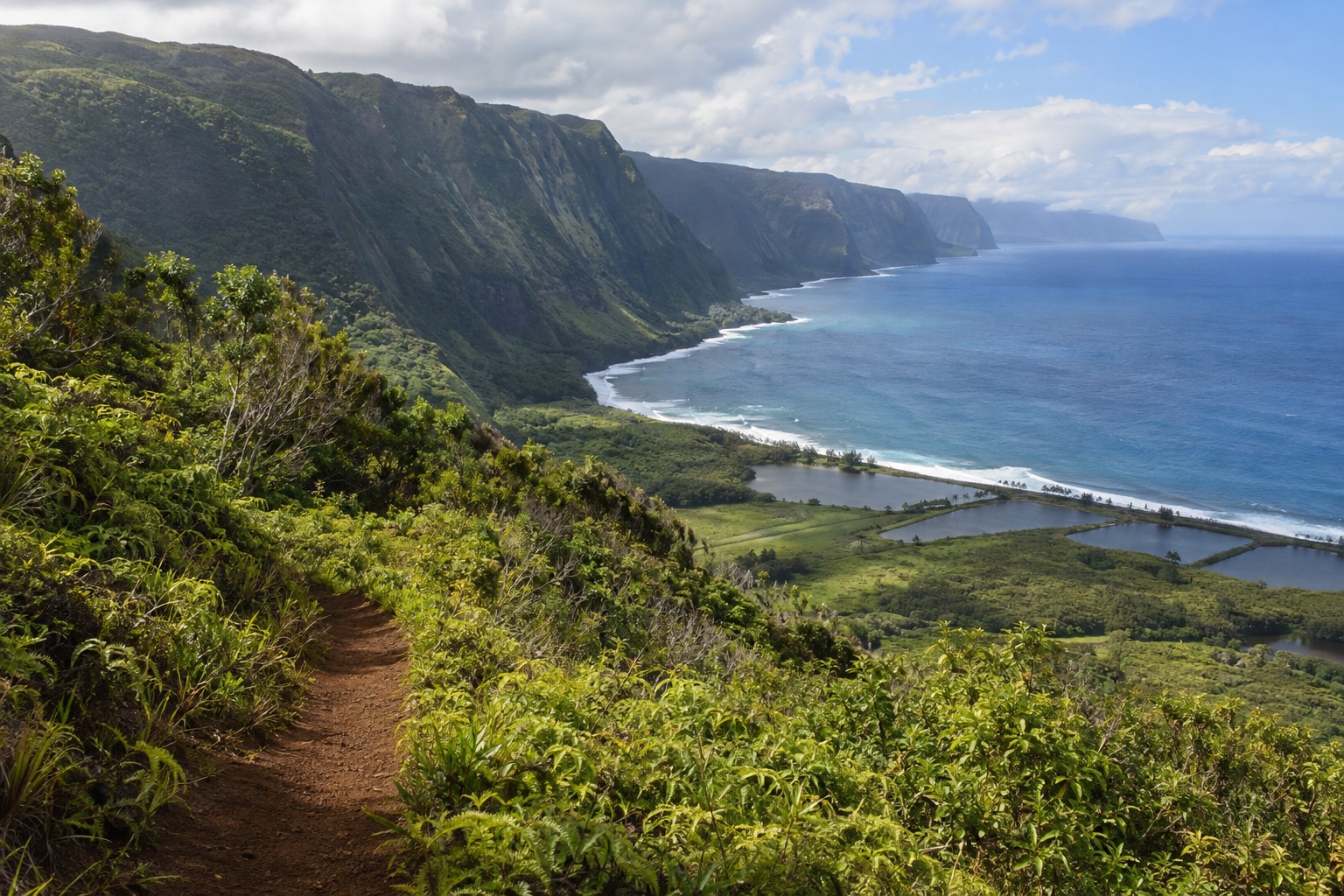 A cinder-cone overlook and forest trail at a Molokai state park