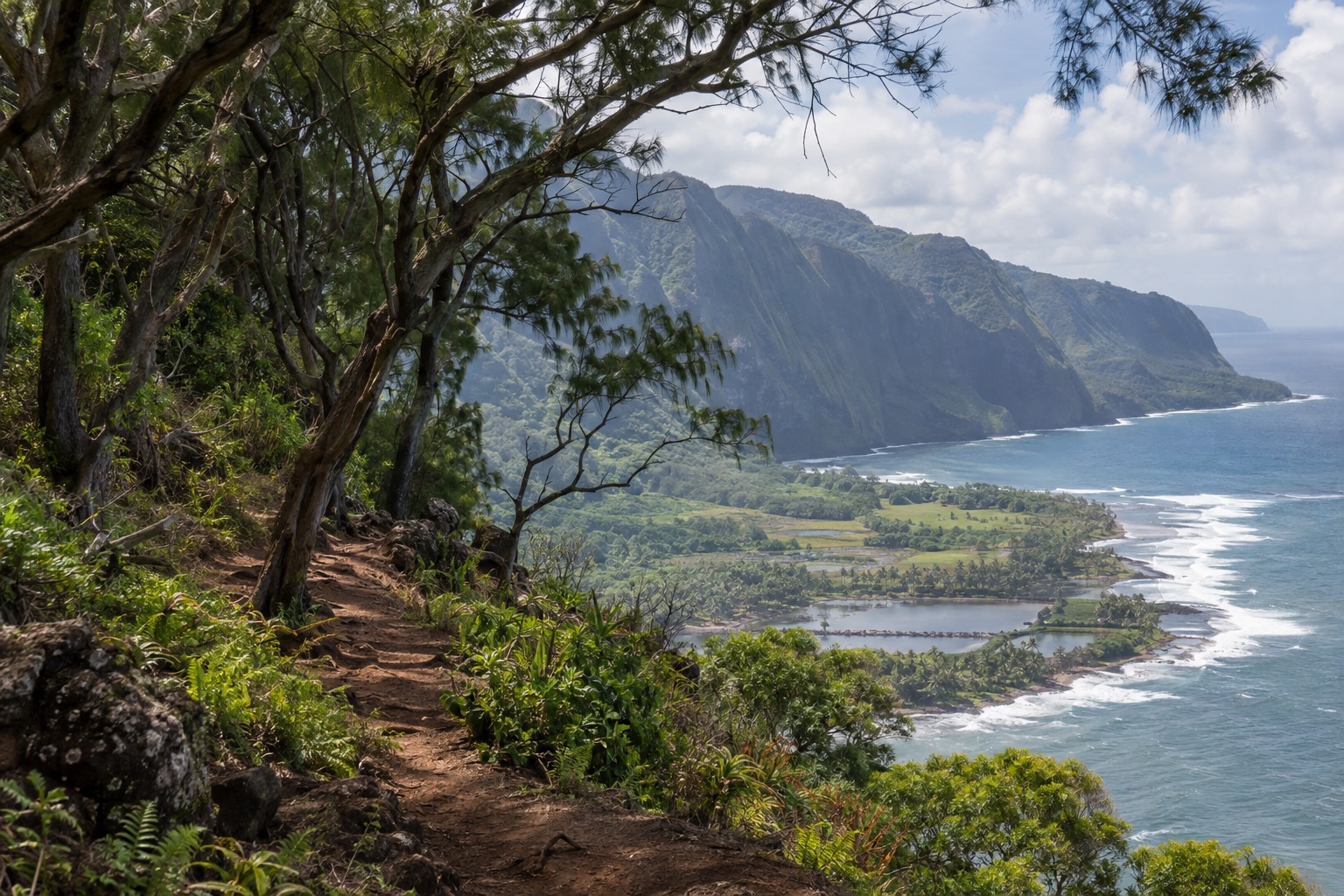 Ironwood forest path leading toward a cliffside overlook on Molokai