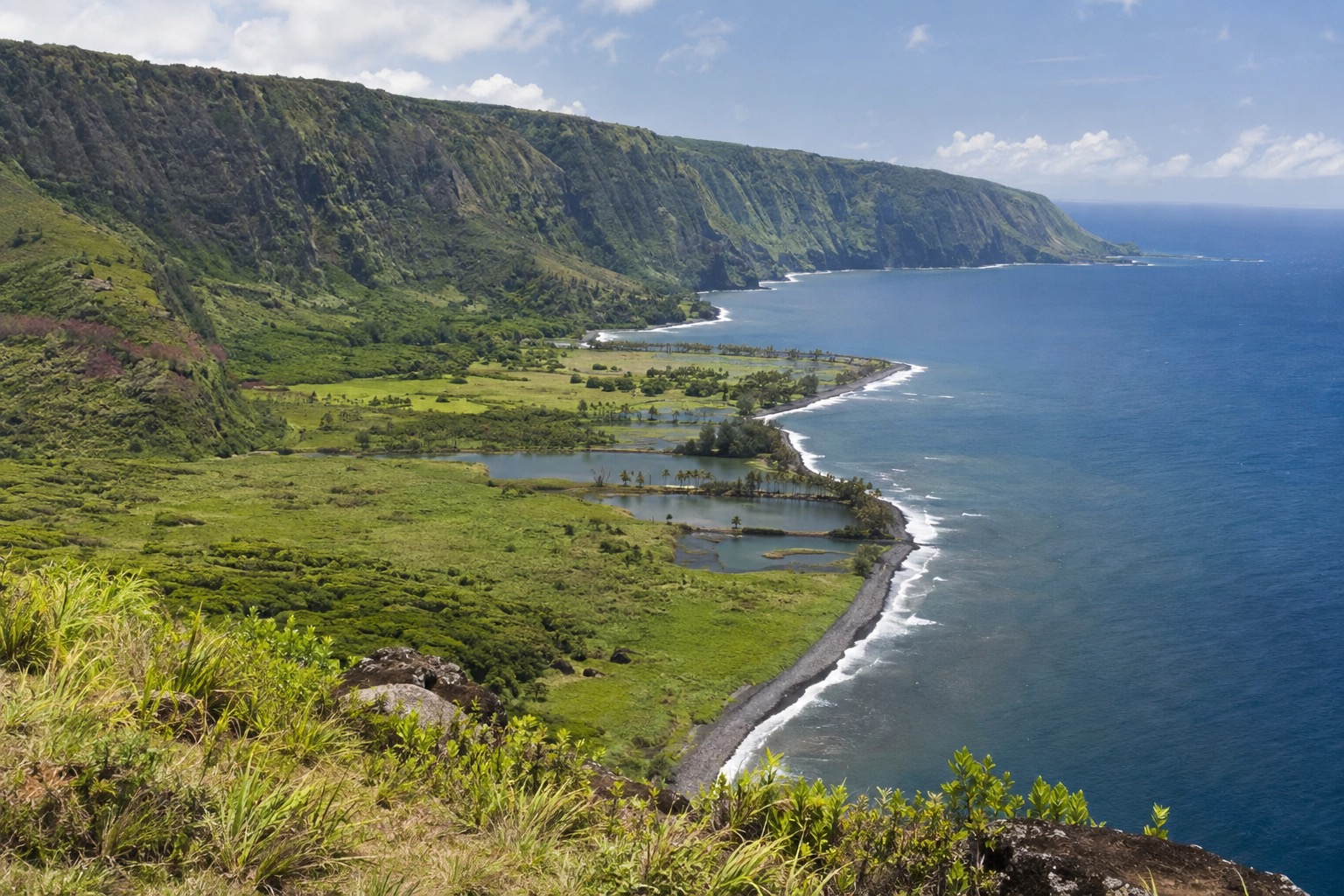A grassy clifftop overlook looking down at a remote green peninsula surrounded by ocean