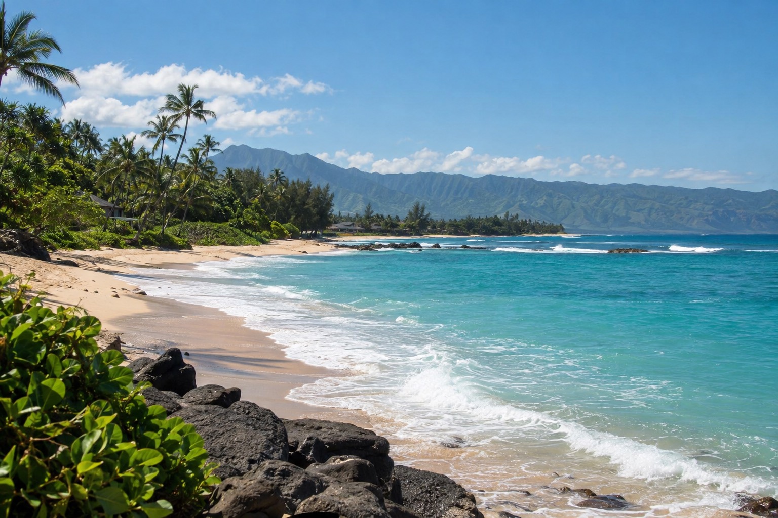 A calm turquoise bay lined with sand and palm trees under a clear summer sky